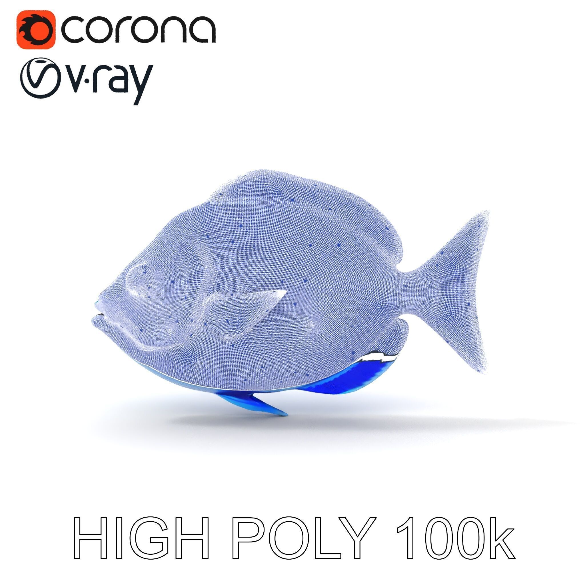 Blue Fish Model Pack for Aquatic Scenes Low-poly 3D model_16