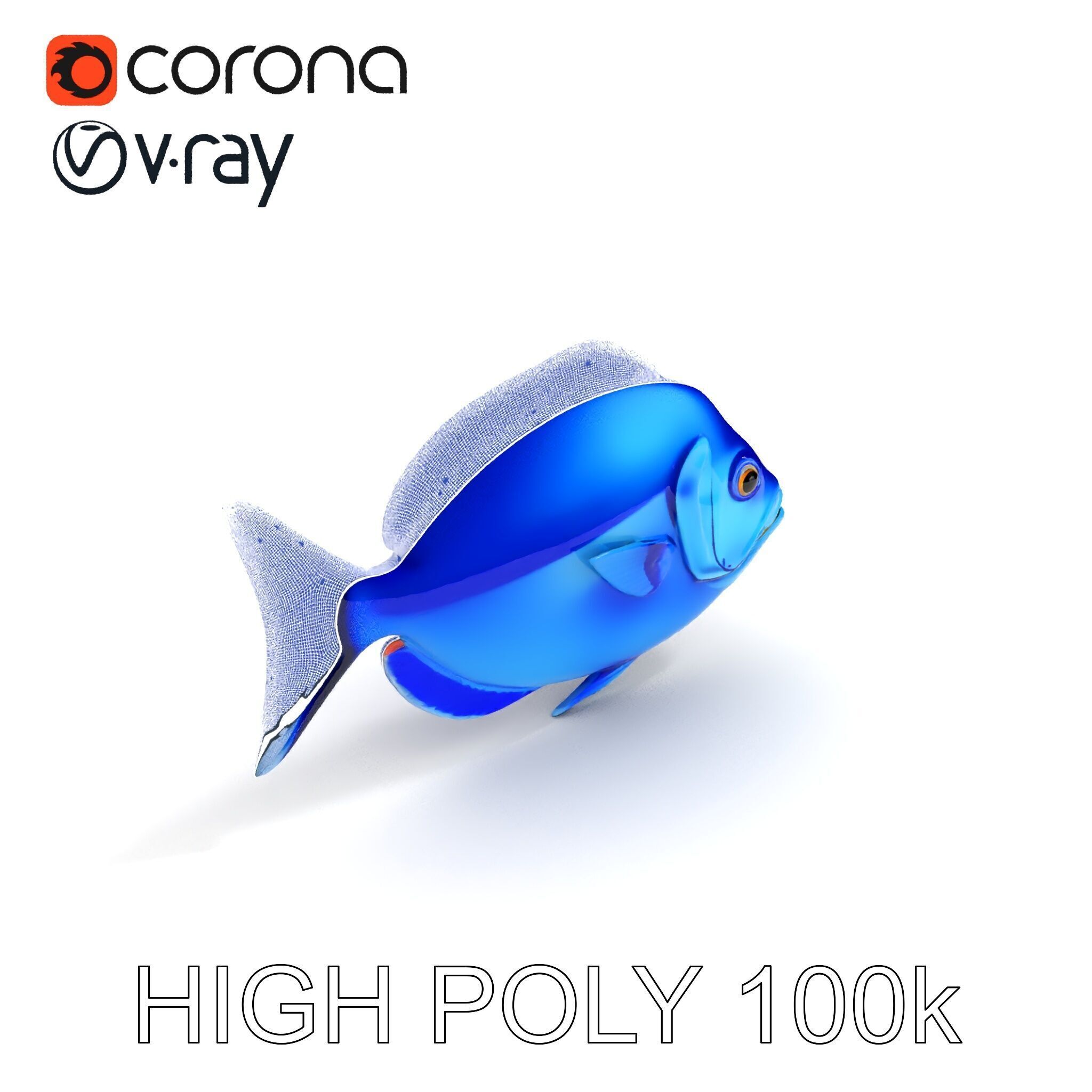 Blue Fish Model Pack for Aquatic Scenes Low-poly 3D model_32