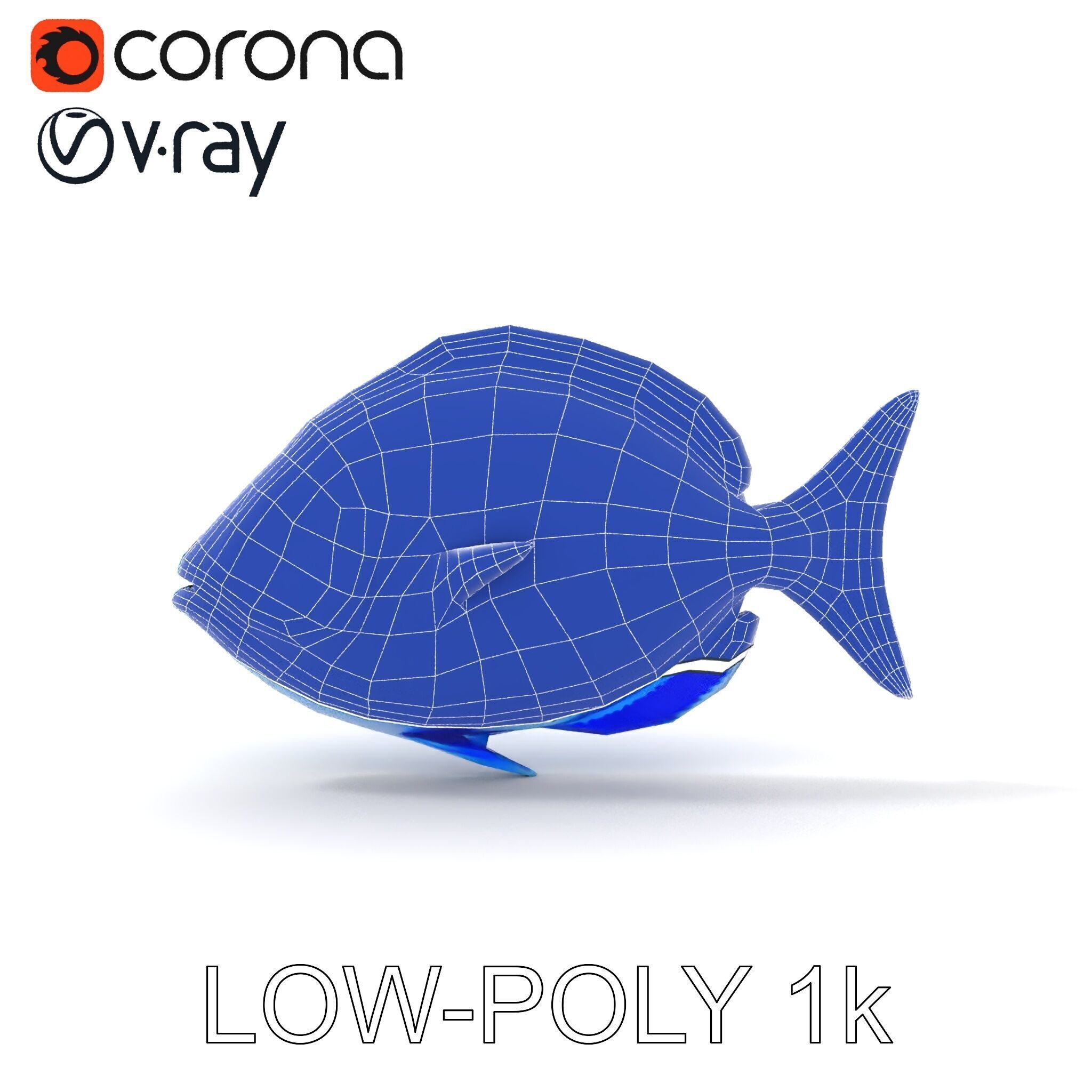 Blue Fish Model Pack for Aquatic Scenes Low-poly 3D model_26