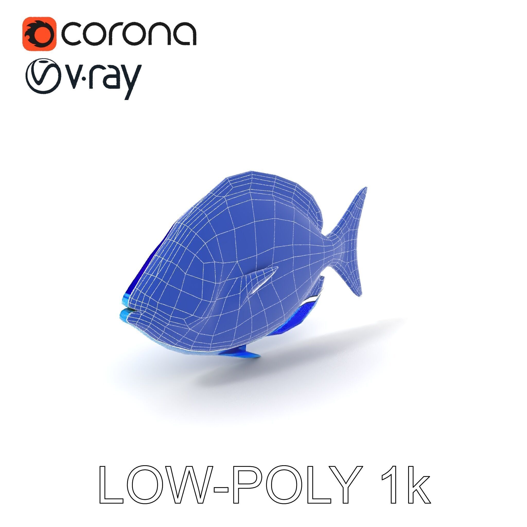 Blue Fish Model Pack for Aquatic Scenes Low-poly 3D model_12
