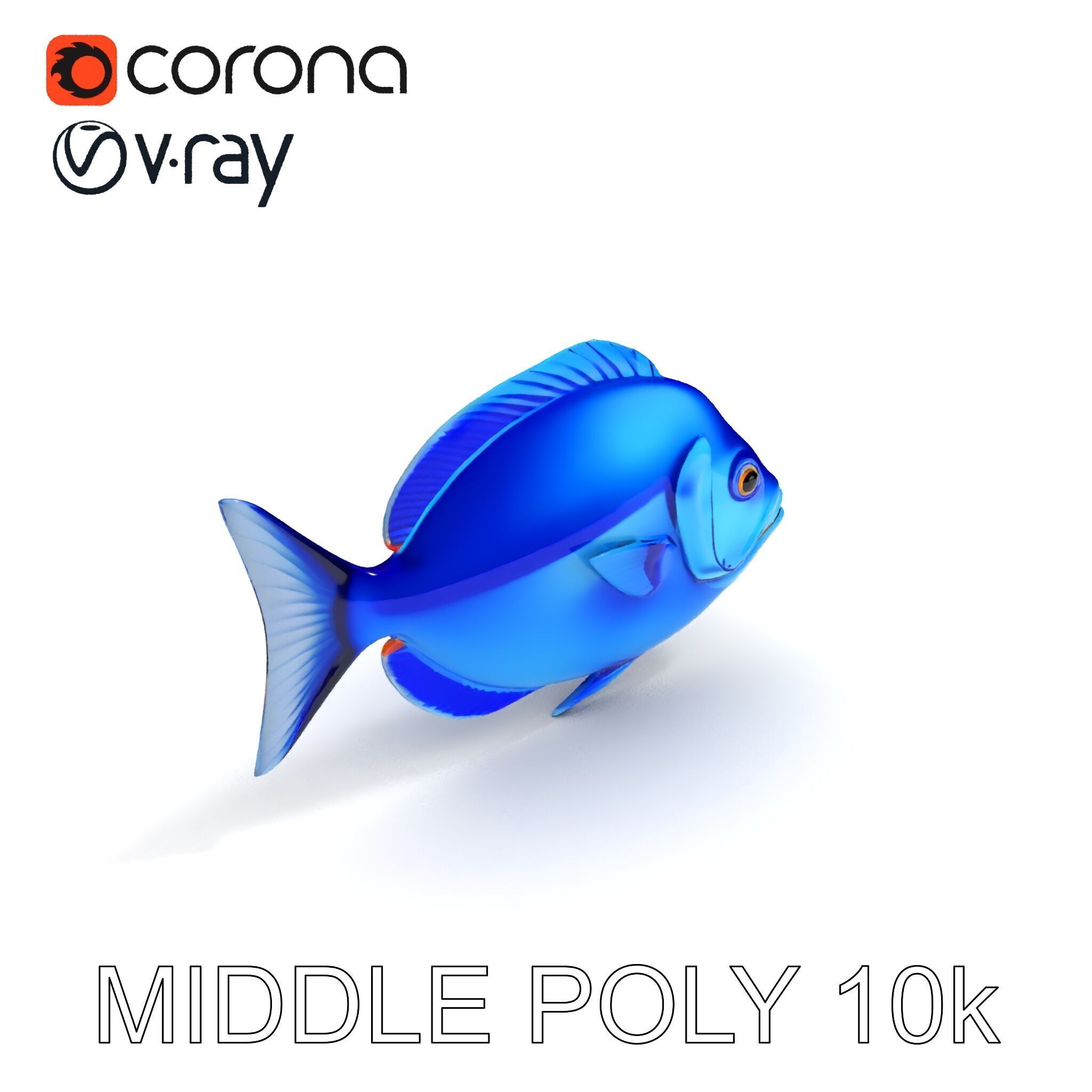Blue Fish Model Pack for Aquatic Scenes Low-poly 3D model_6