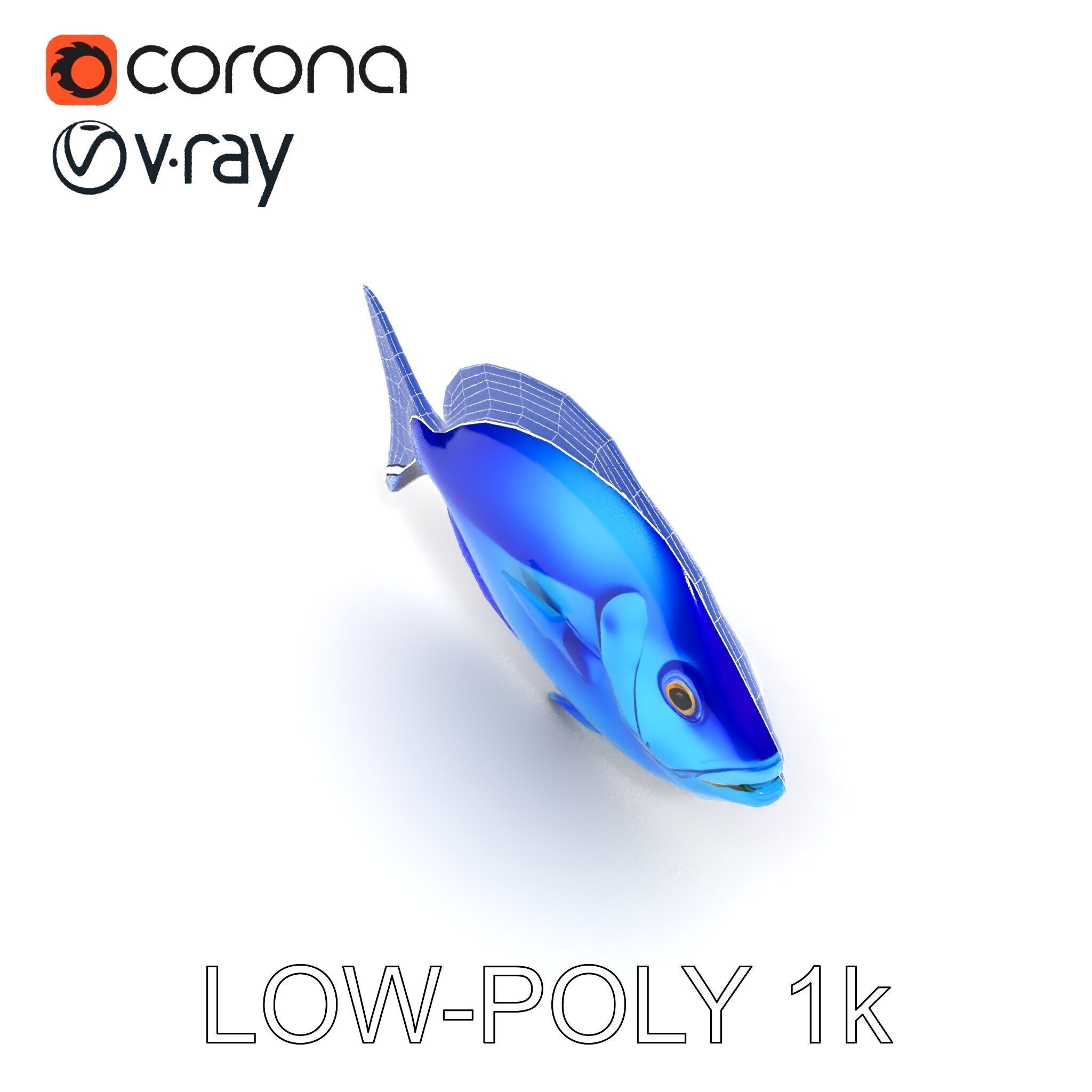Blue Fish Model Pack for Aquatic Scenes Low-poly 3D model_18