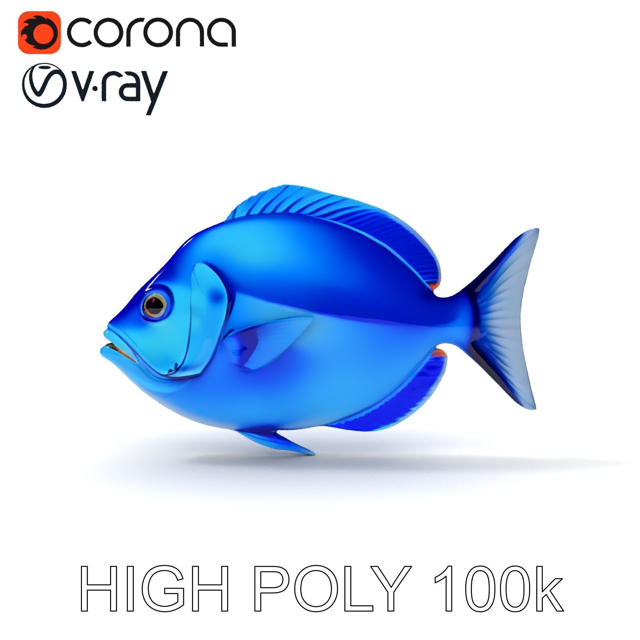 Blue Fish Model Pack for Aquatic Scenes Low-poly 3D model_35