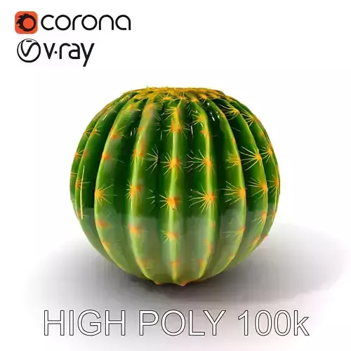 Barrel Cactus Model Pack for D Environments