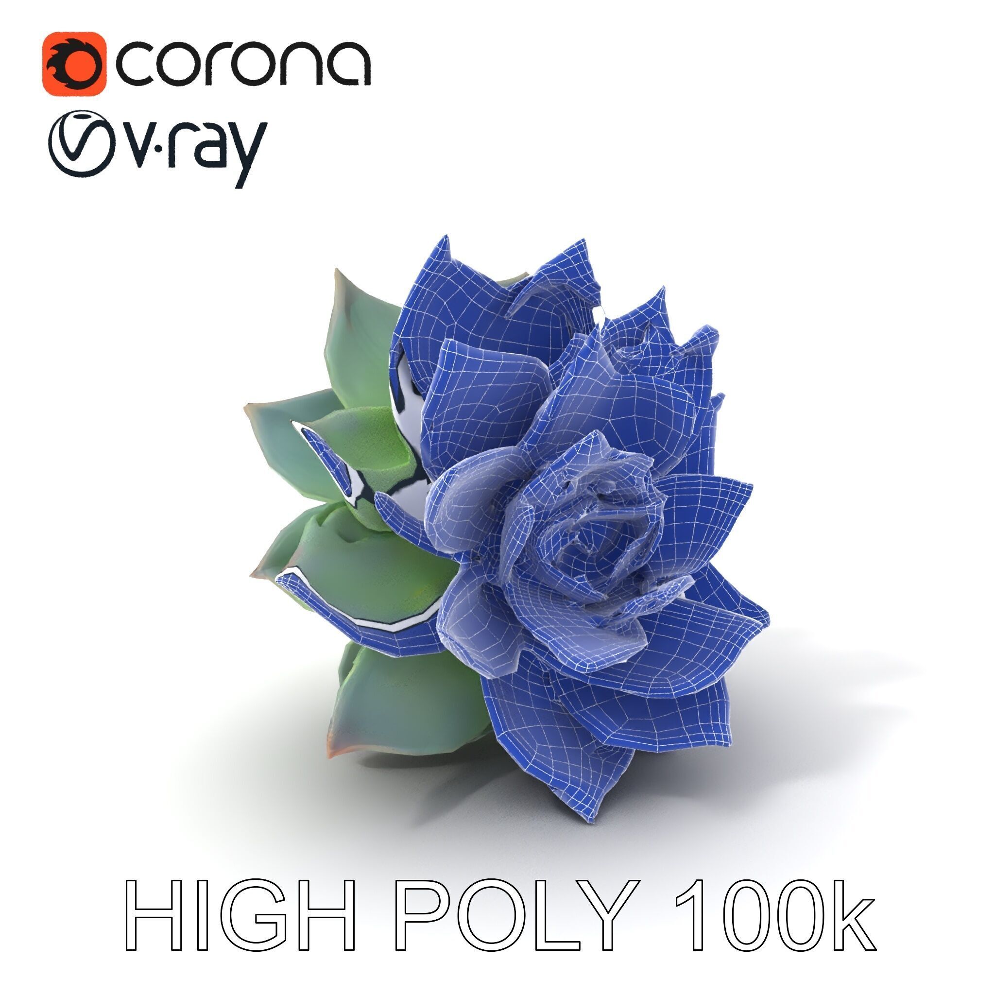 Succulent Plant Model Pack for D Rendering and Games Low-poly 3D model_25
