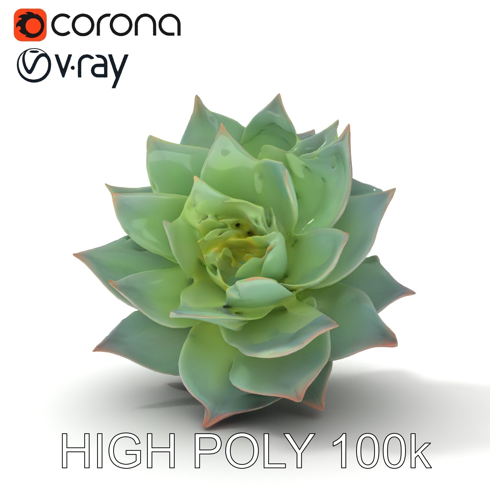 Succulent Plant Model Pack for D Rendering and Games Low-poly 3D model_8