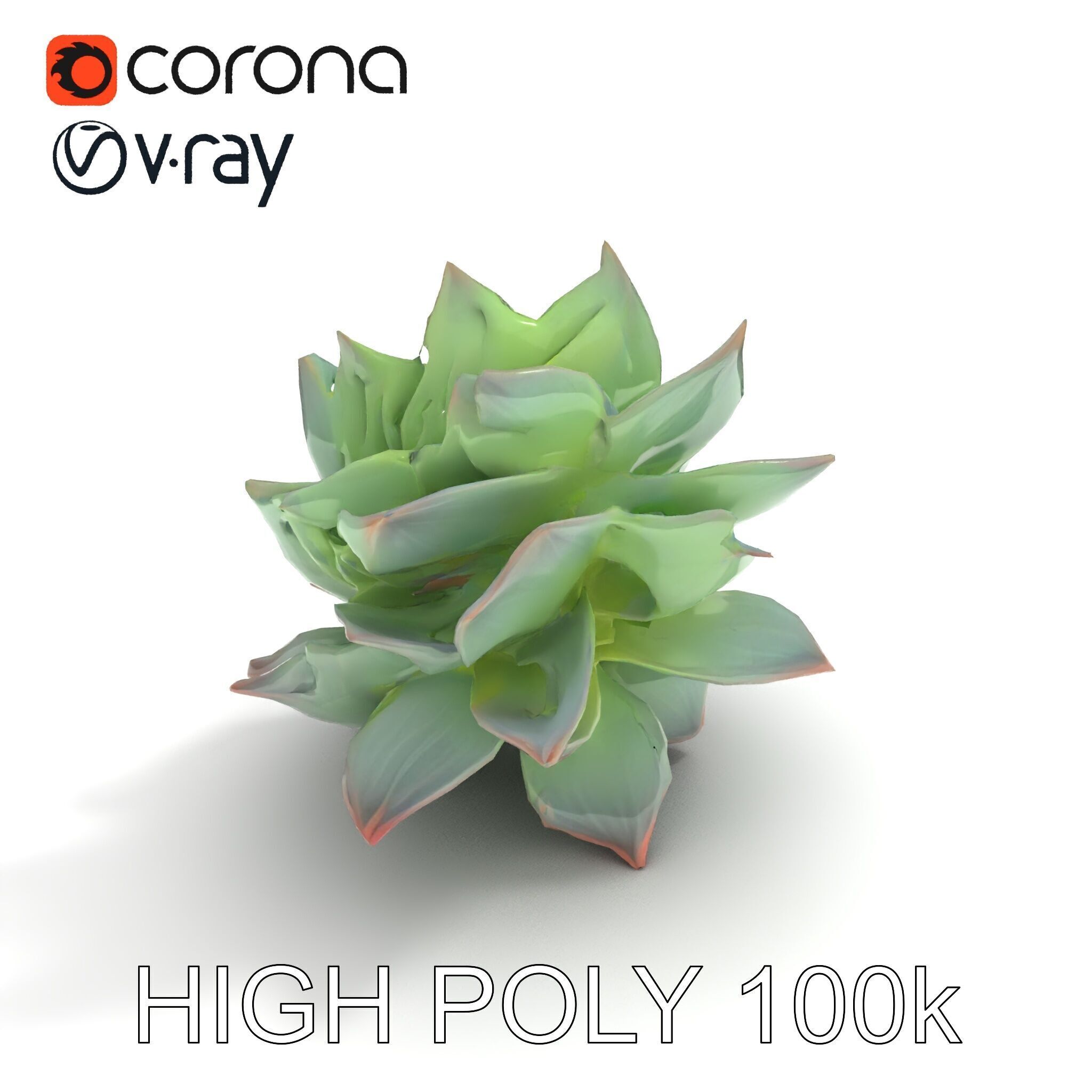 Succulent Plant Model Pack for D Rendering and Games Low-poly 3D model_33