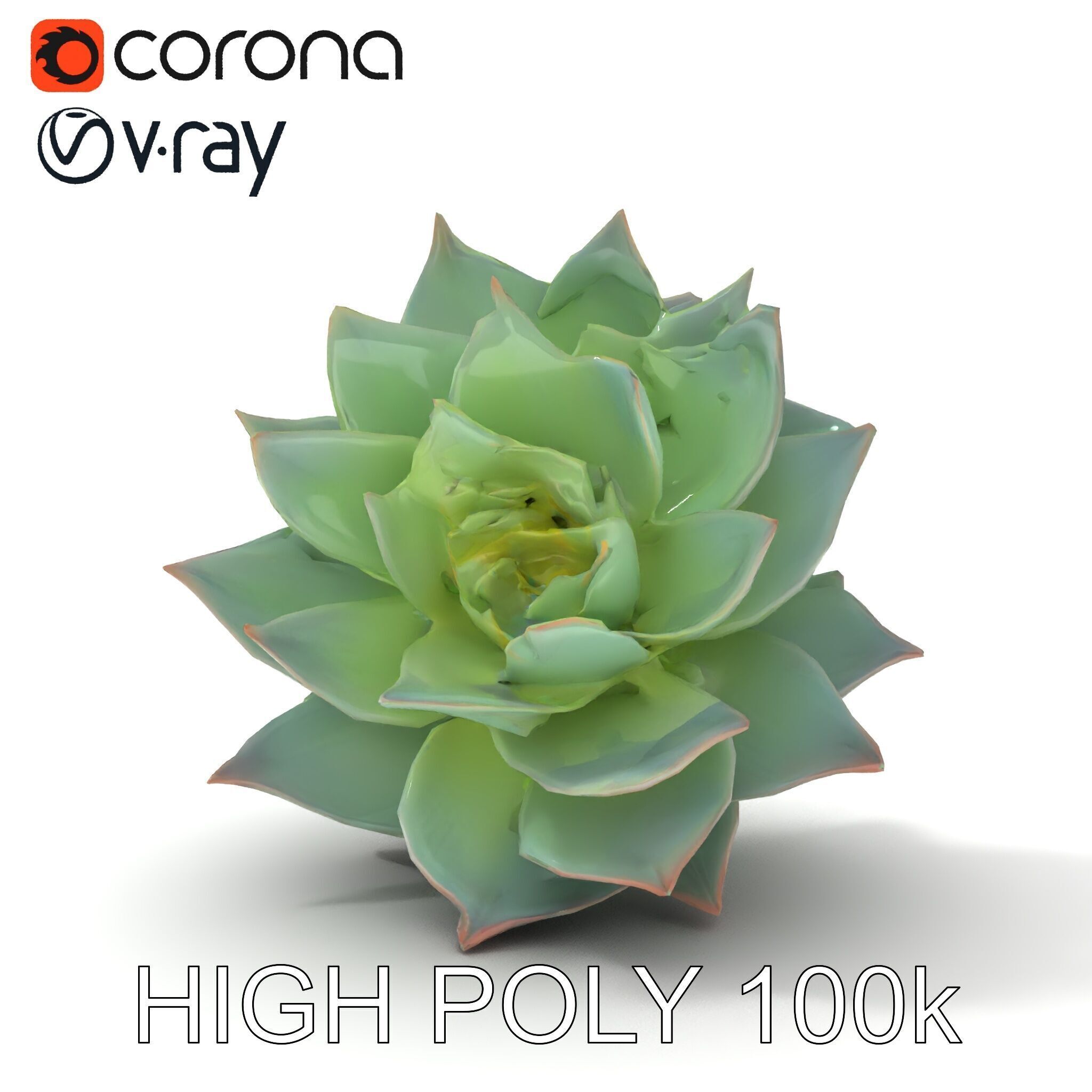 Succulent Plant Model Pack for D Rendering and Games Low-poly 3D model_11