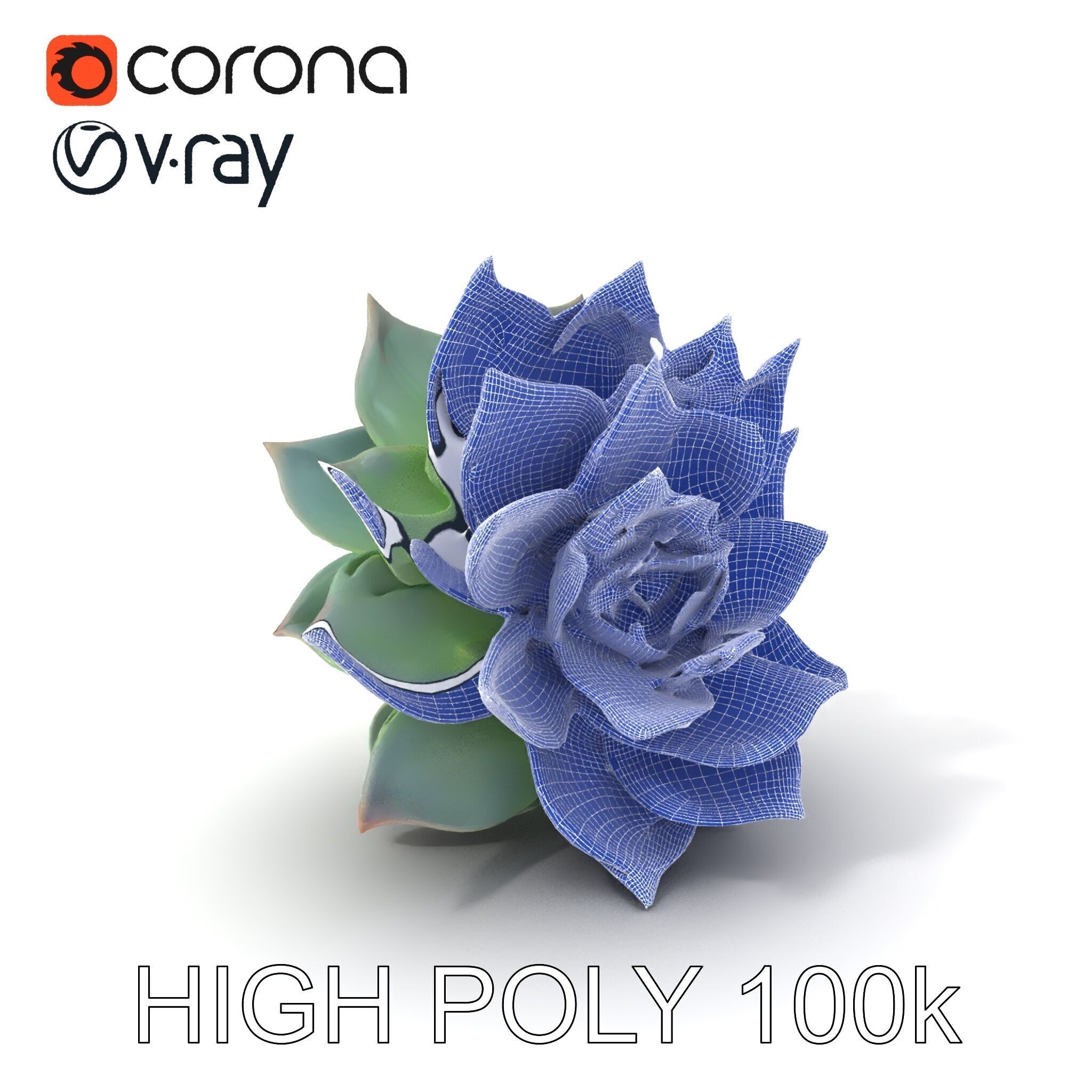 Succulent Plant Model Pack for D Rendering and Games Low-poly 3D model_3