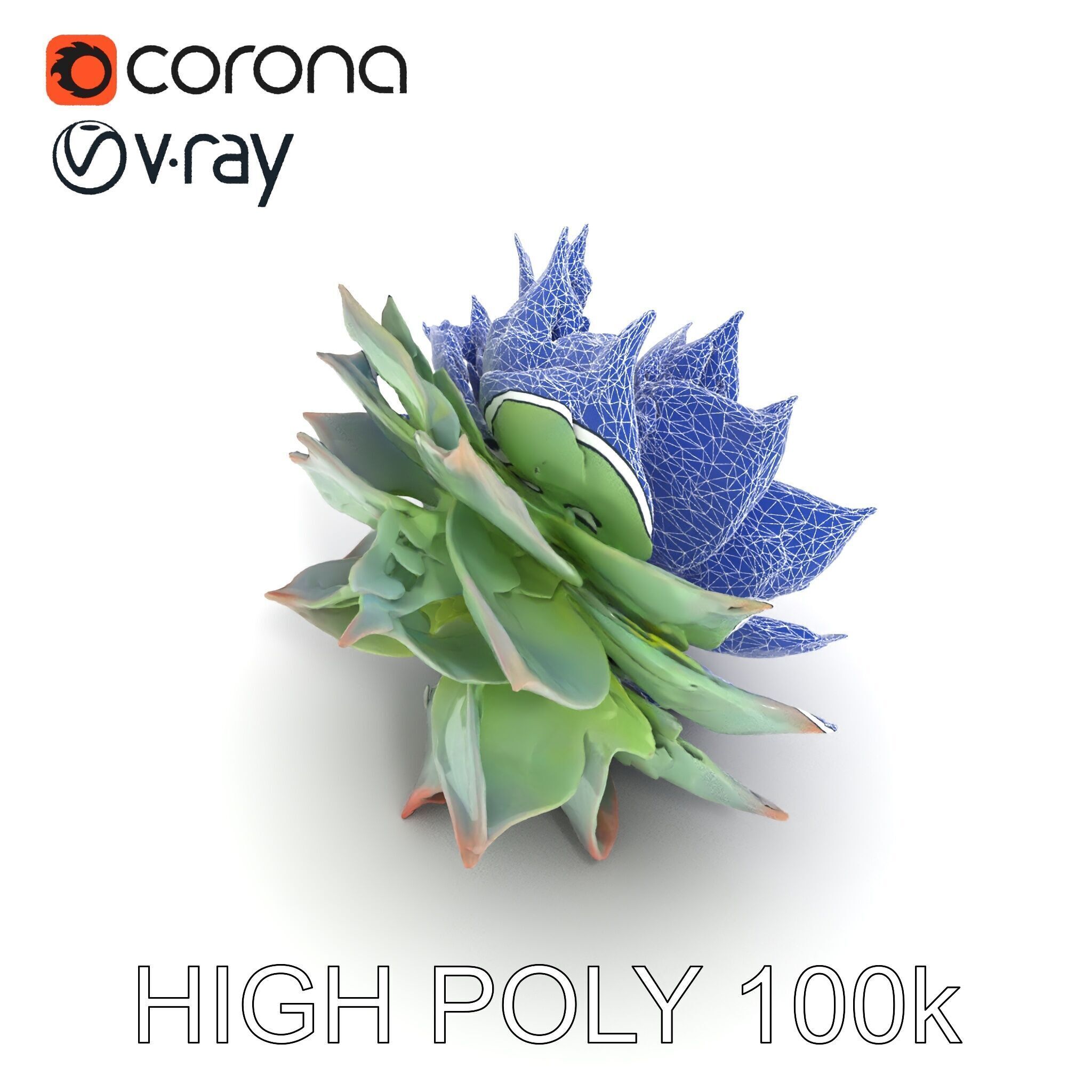 Succulent Plant Model Pack for D Rendering and Games Low-poly 3D model_20