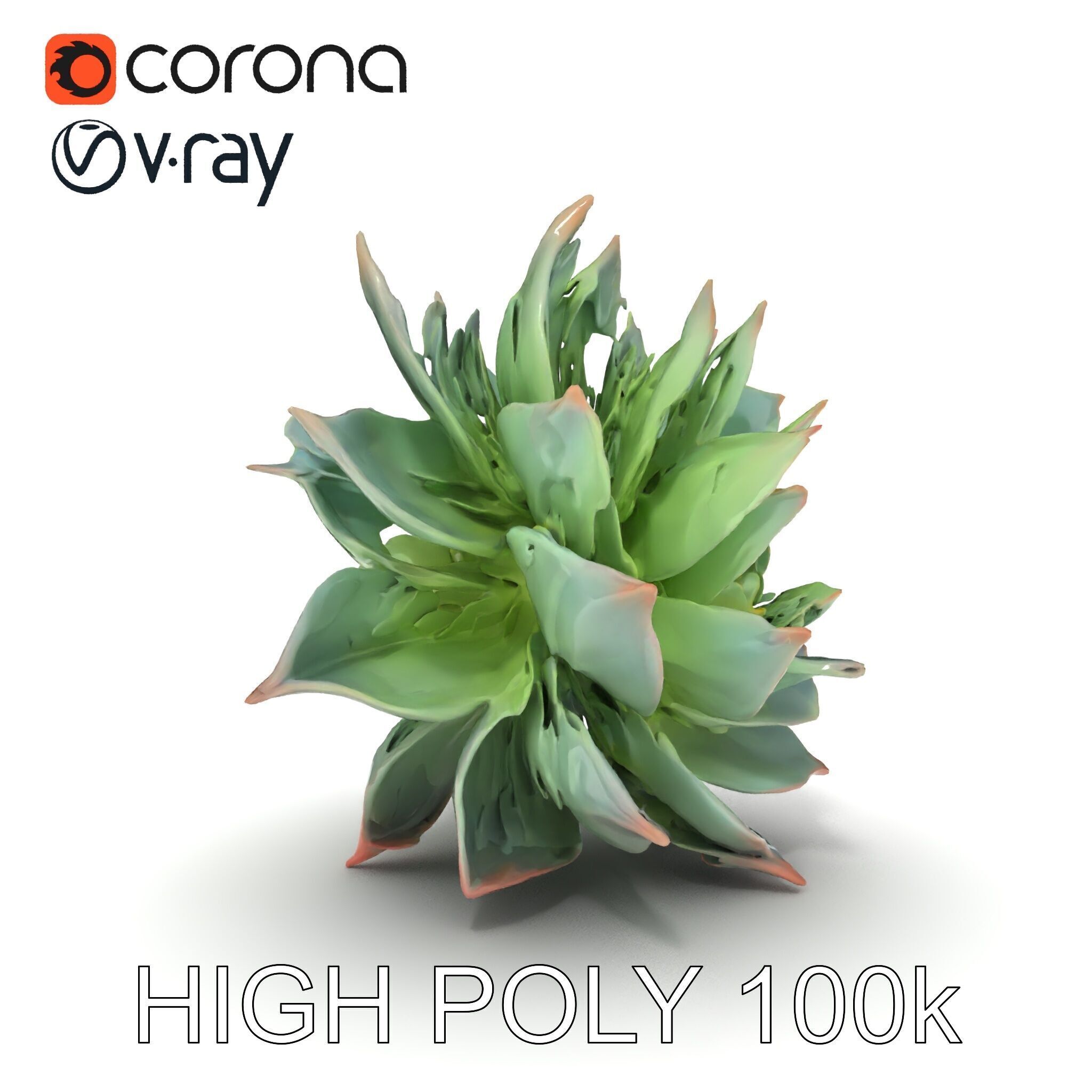 Succulent Plant Model Pack for D Rendering and Games Low-poly 3D model_12