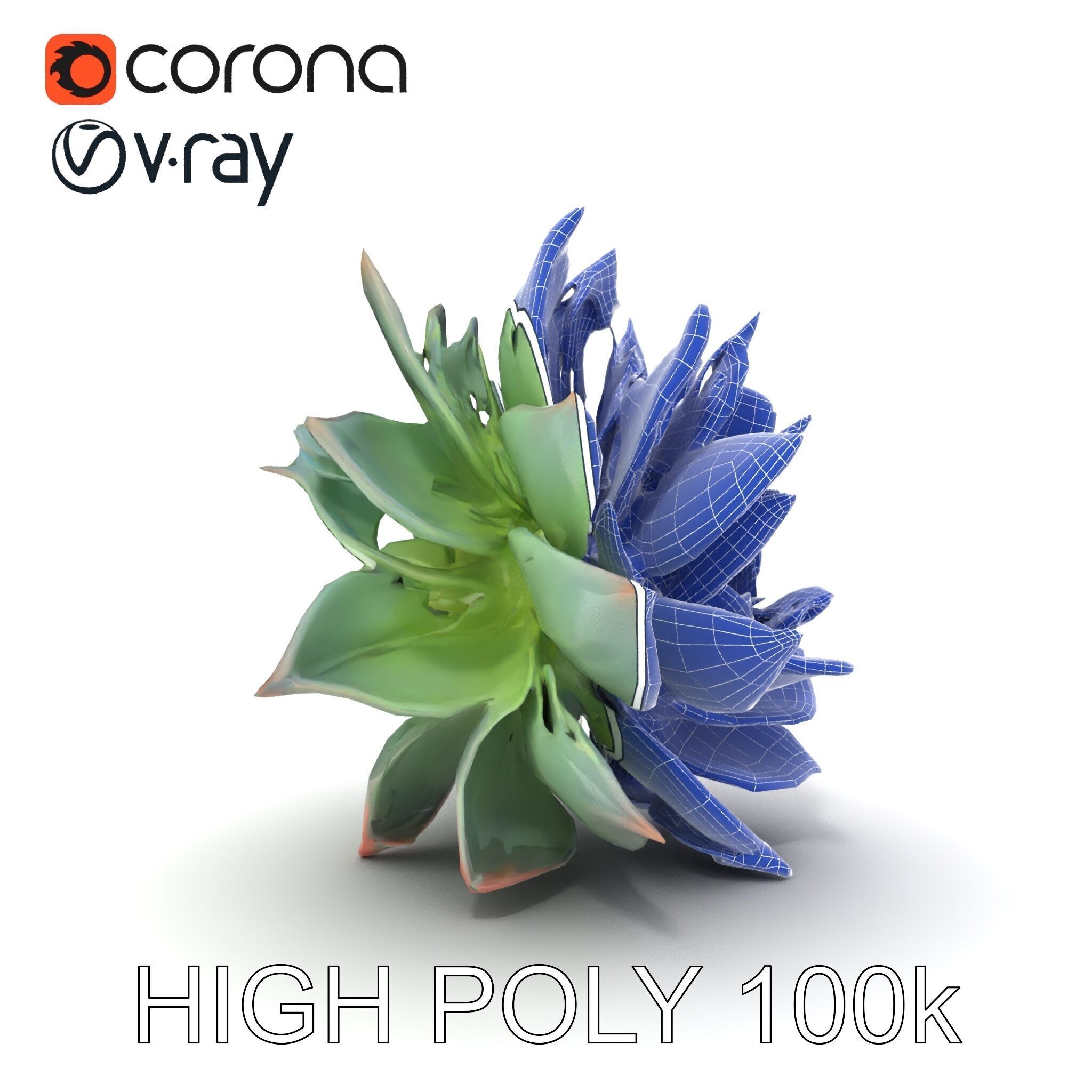 Succulent Plant Model Pack for D Rendering and Games Low-poly 3D model_19