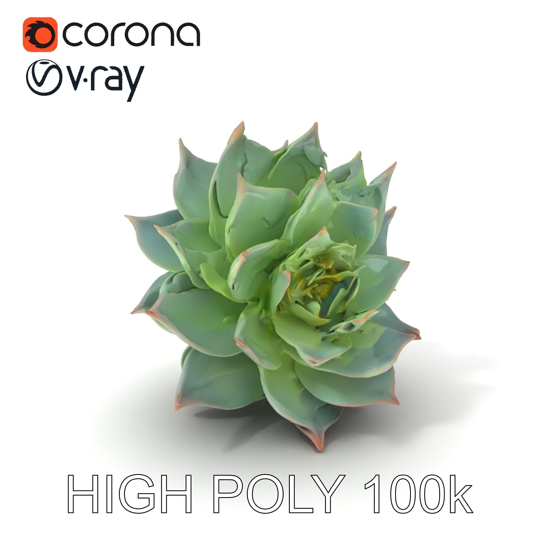 Succulent Plant Model Pack for D Rendering and Games Low-poly 3D model_26