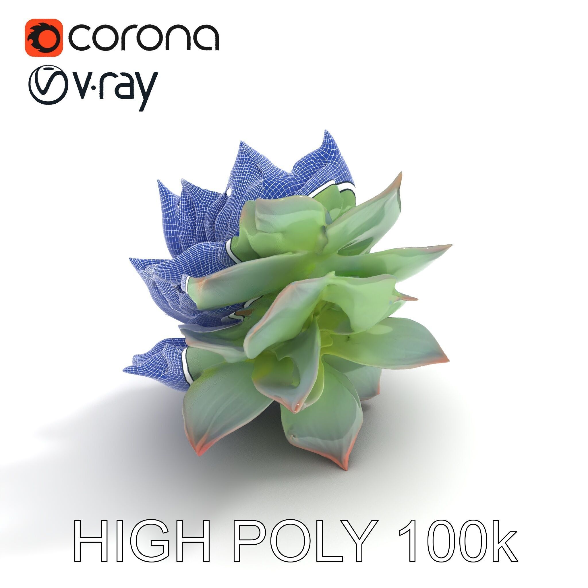 Succulent Plant Model Pack for D Rendering and Games Low-poly 3D model_16