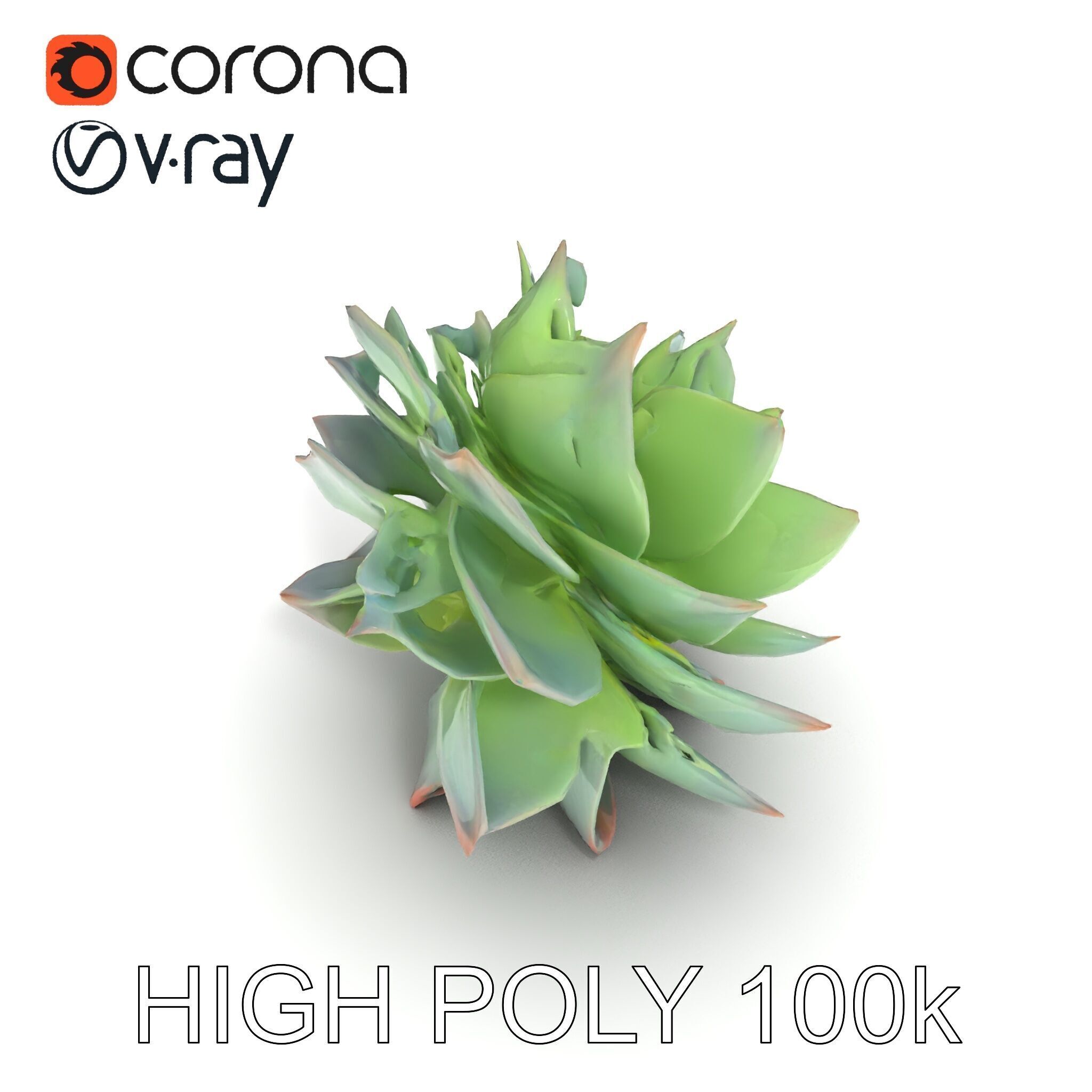 Succulent Plant Model Pack for D Rendering and Games Low-poly 3D model_22
