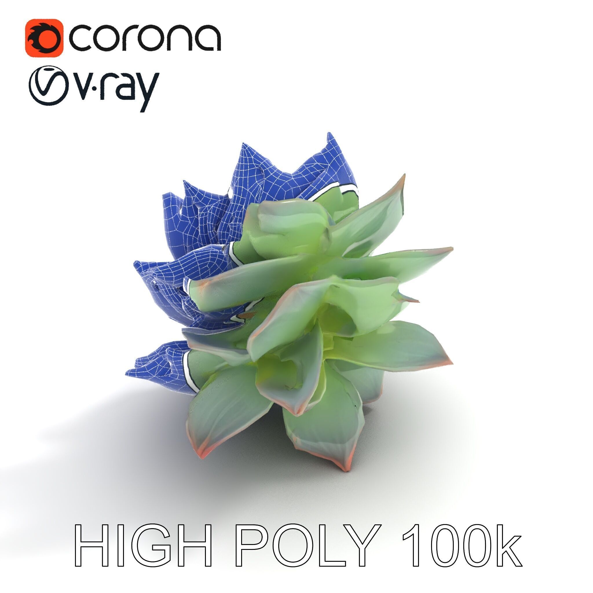 Succulent Plant Model Pack for D Rendering and Games Low-poly 3D model_6