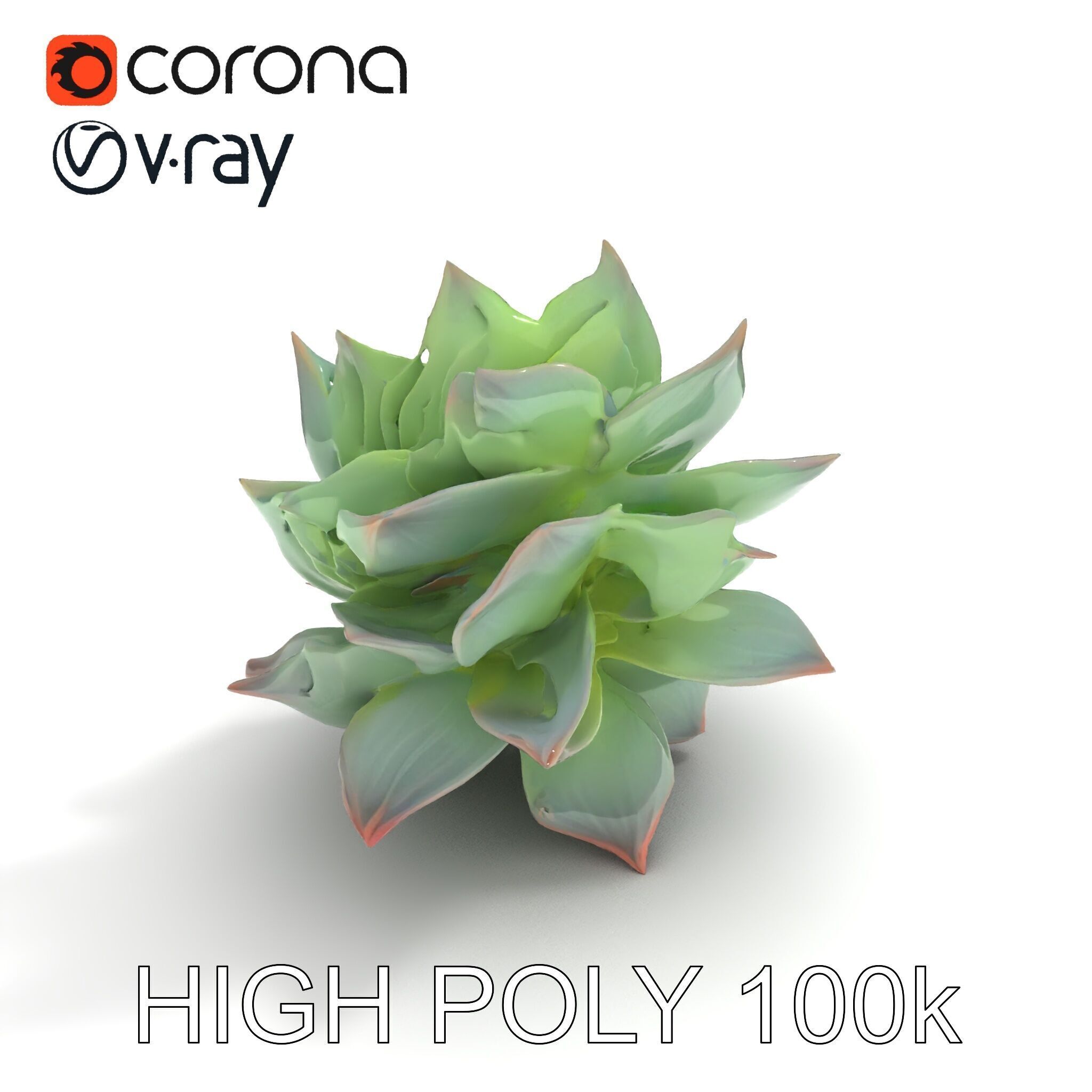 Succulent Plant Model Pack for D Rendering and Games Low-poly 3D model_30
