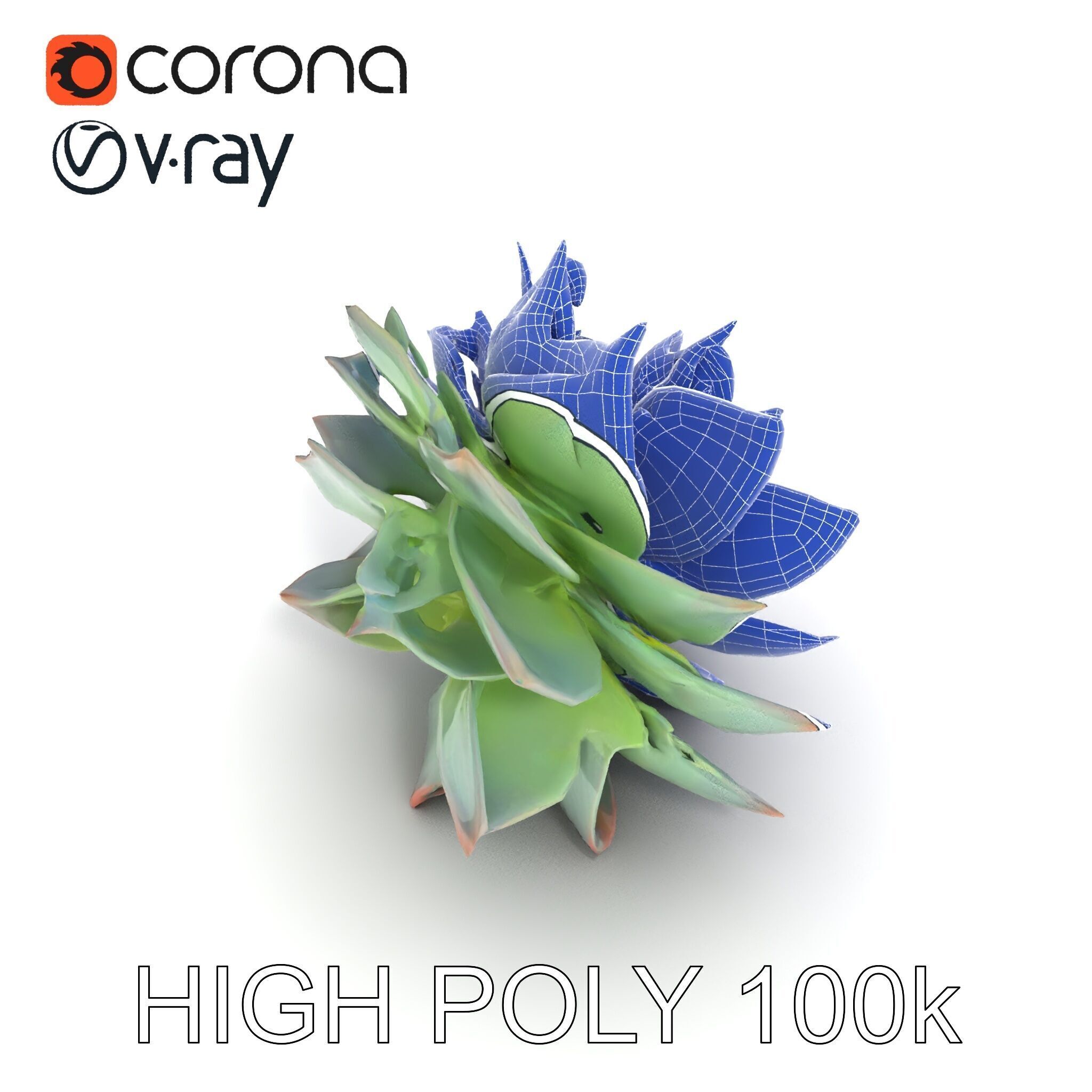Succulent Plant Model Pack for D Rendering and Games Low-poly 3D model_28