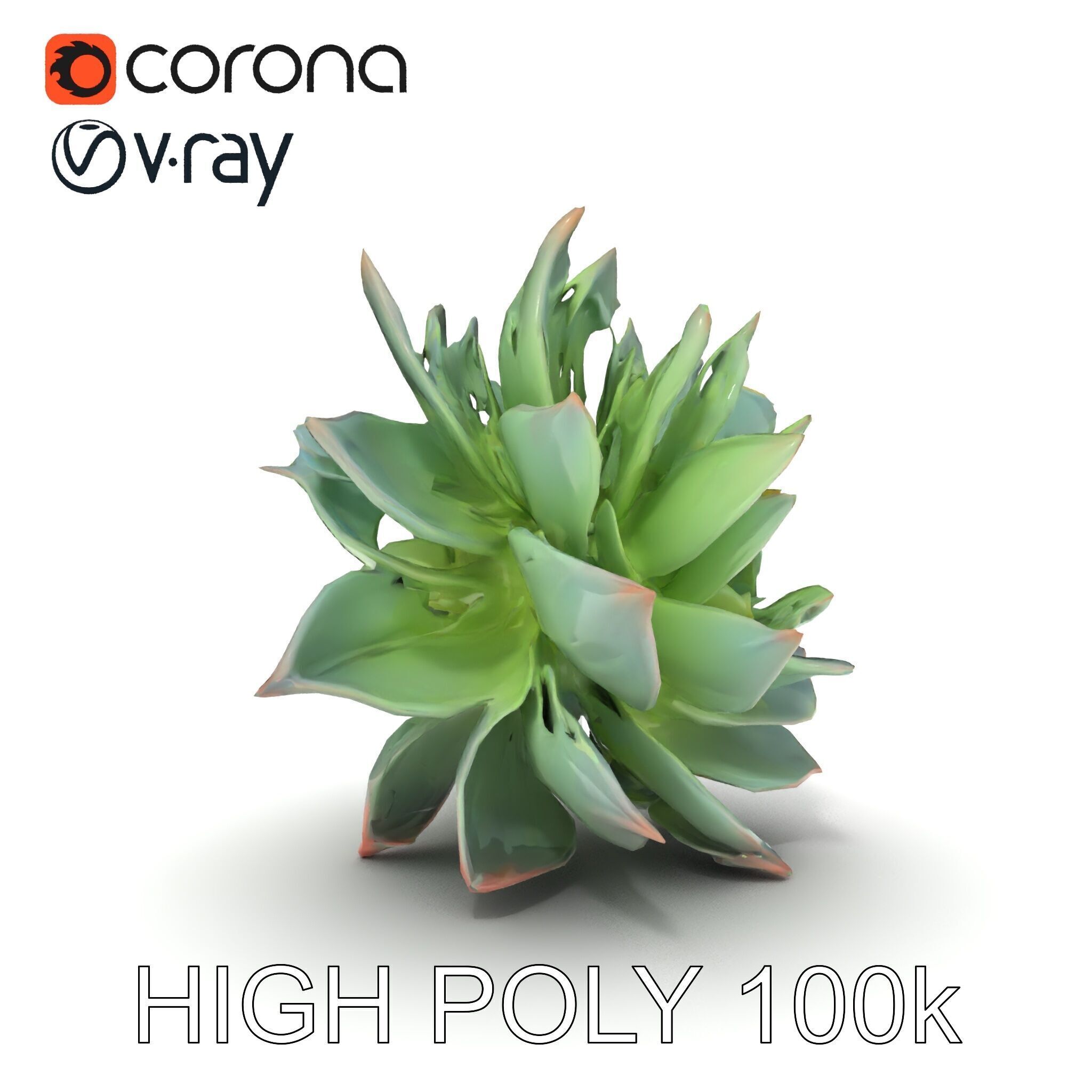 Succulent Plant Model Pack for D Rendering and Games Low-poly 3D model_14