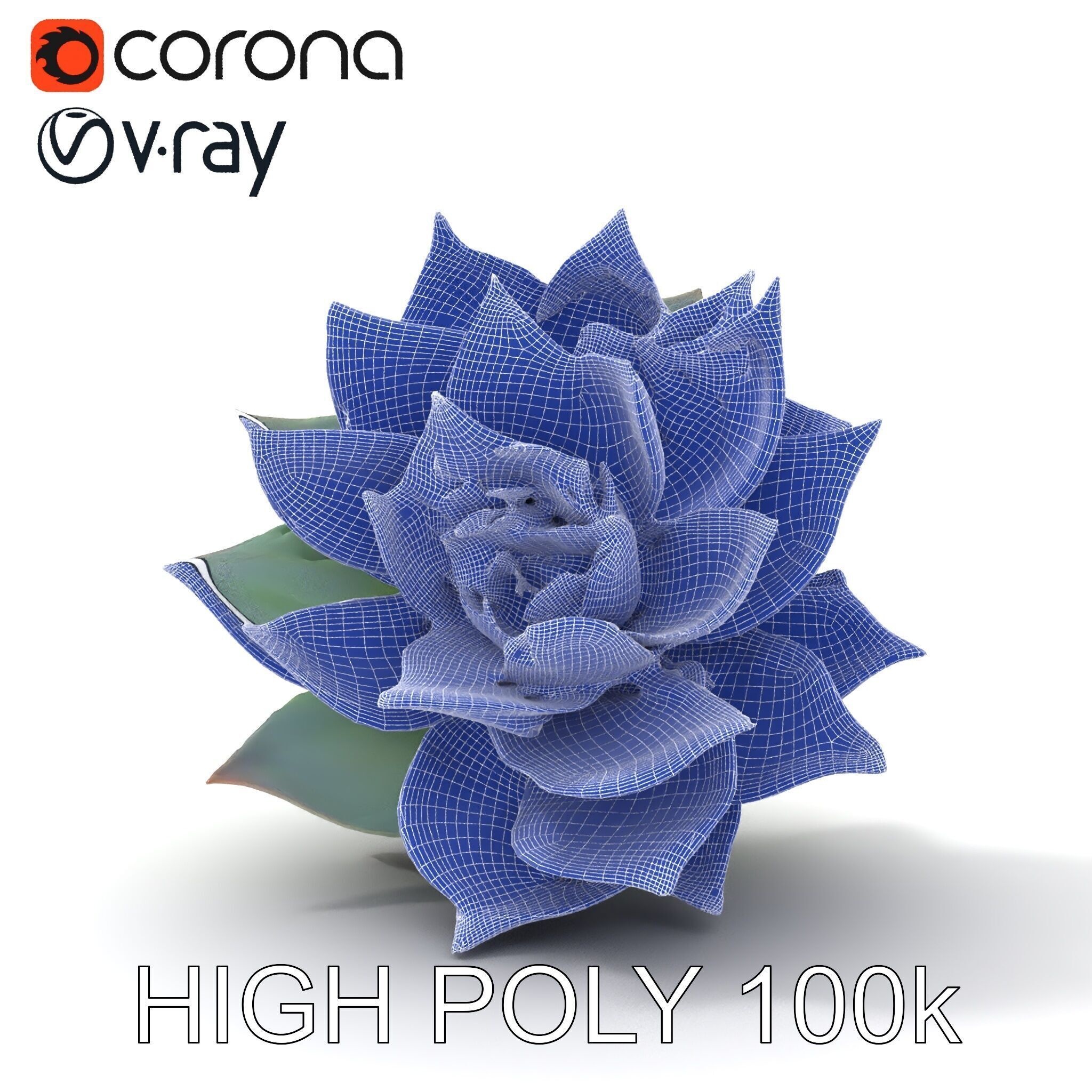 Succulent Plant Model Pack for D Rendering and Games Low-poly 3D model_27