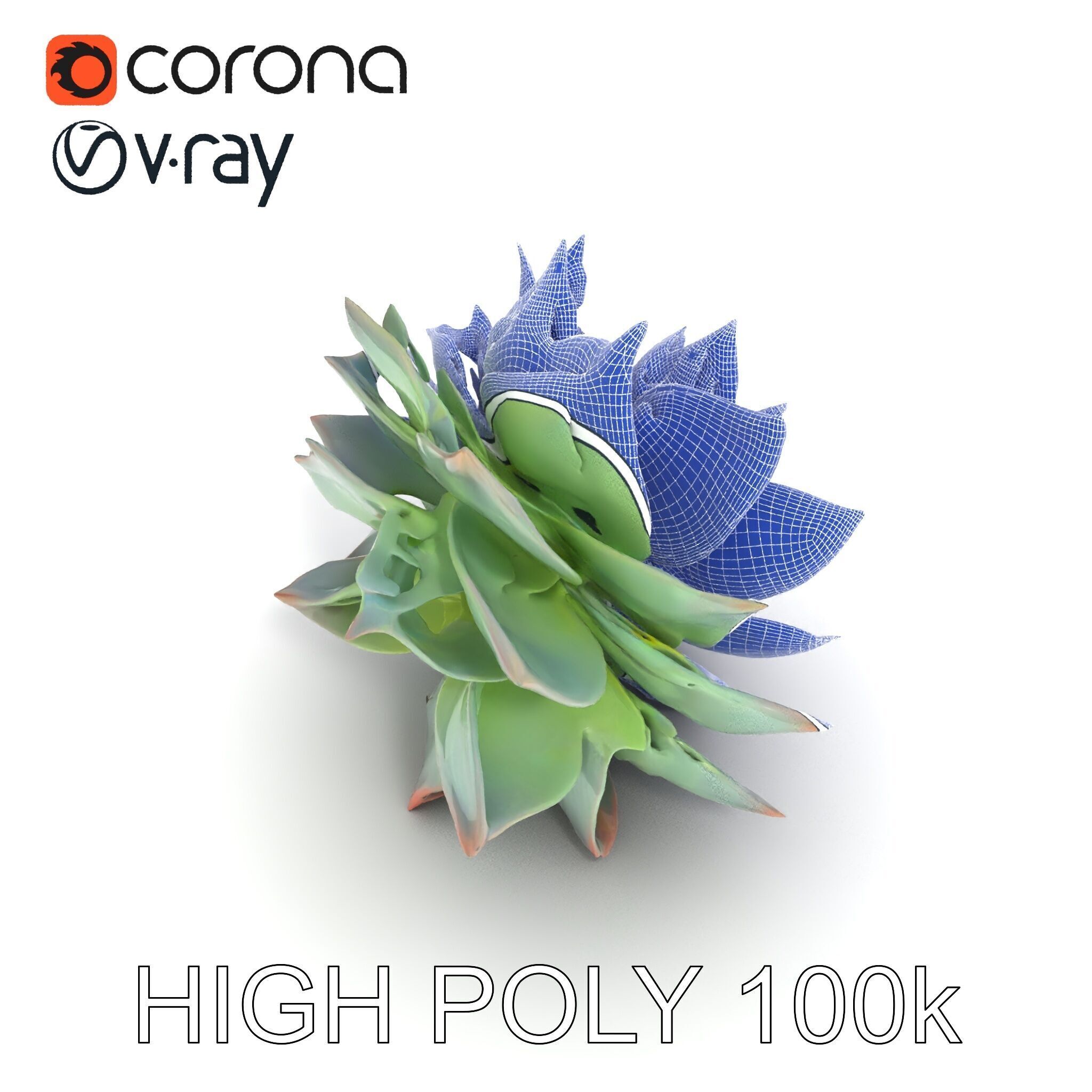 Succulent Plant Model Pack for D Rendering and Games Low-poly 3D model_21