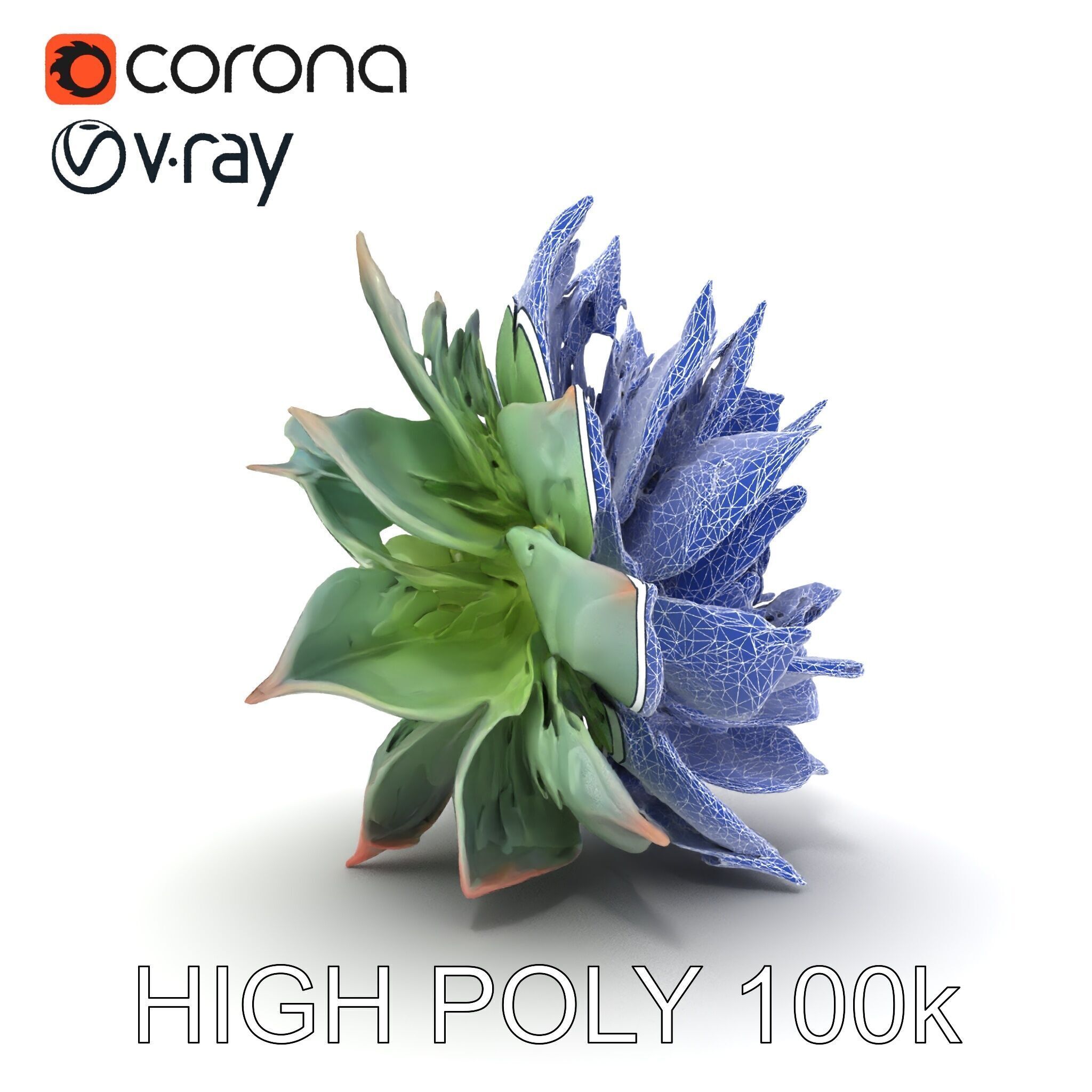 Succulent Plant Model Pack for D Rendering and Games Low-poly 3D model_7