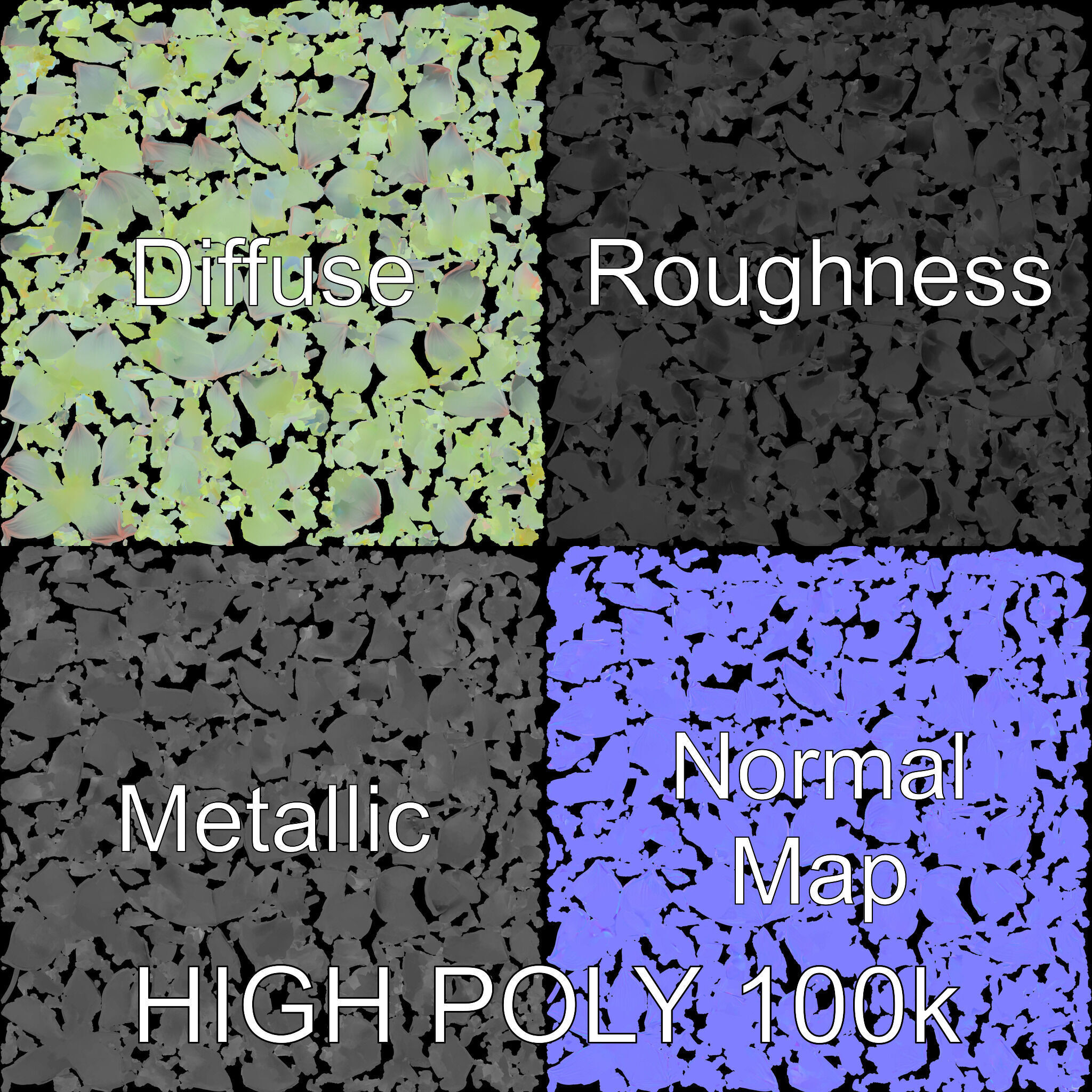 Succulent Plant Model Pack for D Rendering and Games Low-poly 3D model_2