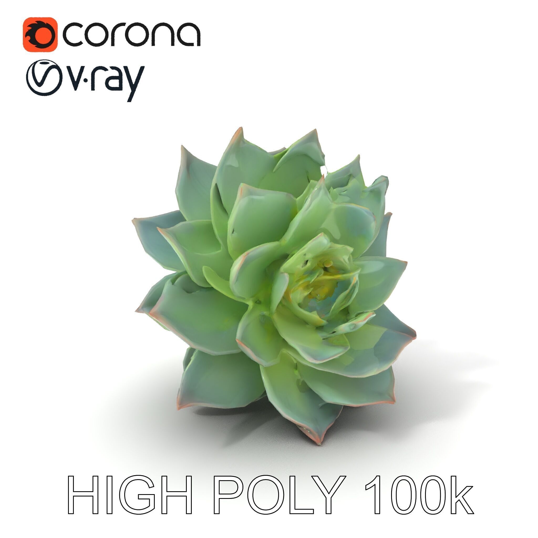 Succulent Plant Model Pack for D Rendering and Games Low-poly 3D model_31