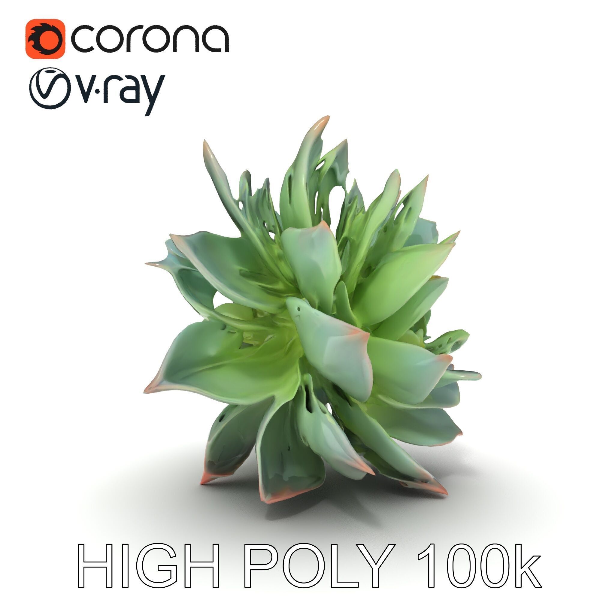 Succulent Plant Model Pack for D Rendering and Games Low-poly 3D model_24