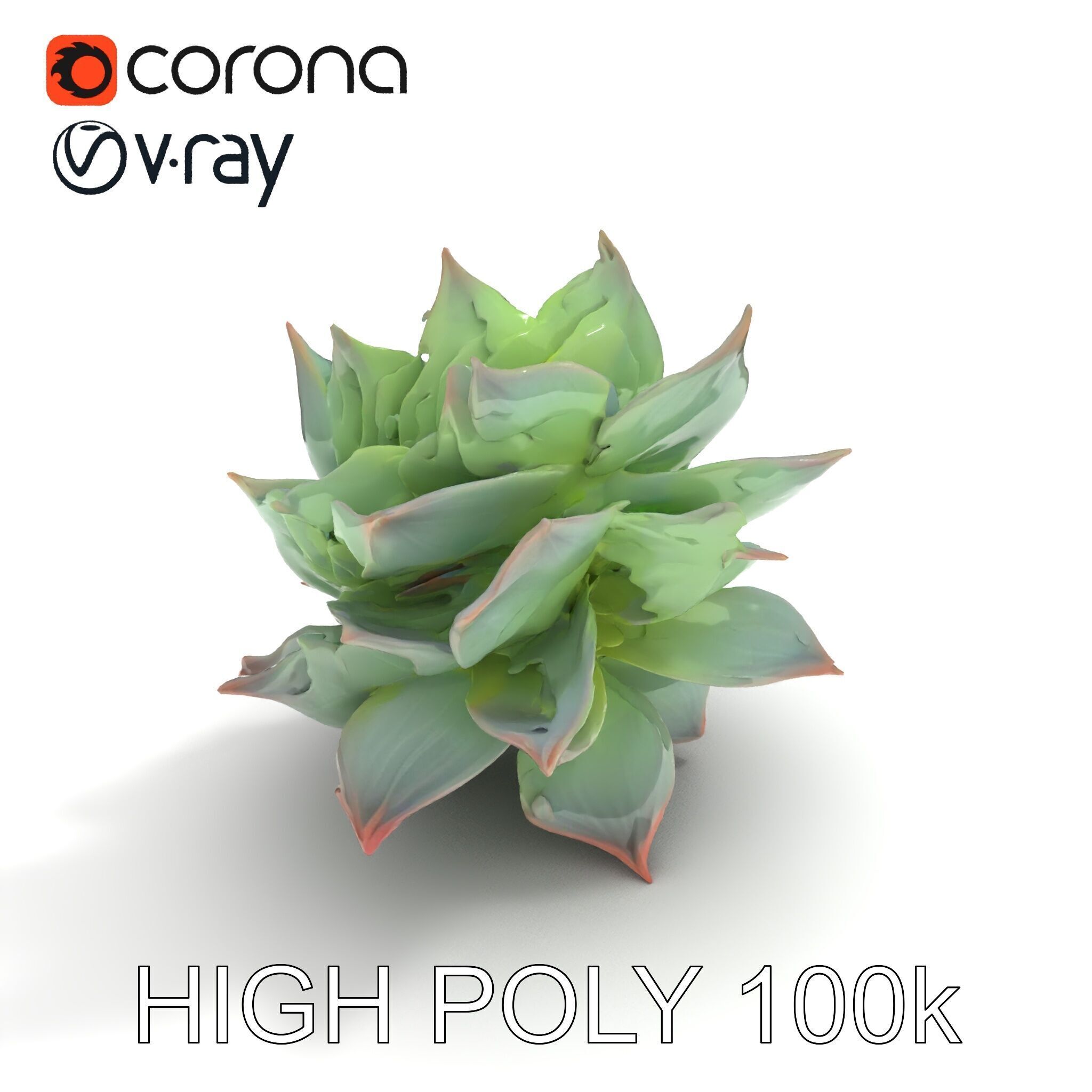 Succulent Plant Model Pack for D Rendering and Games Low-poly 3D model_34