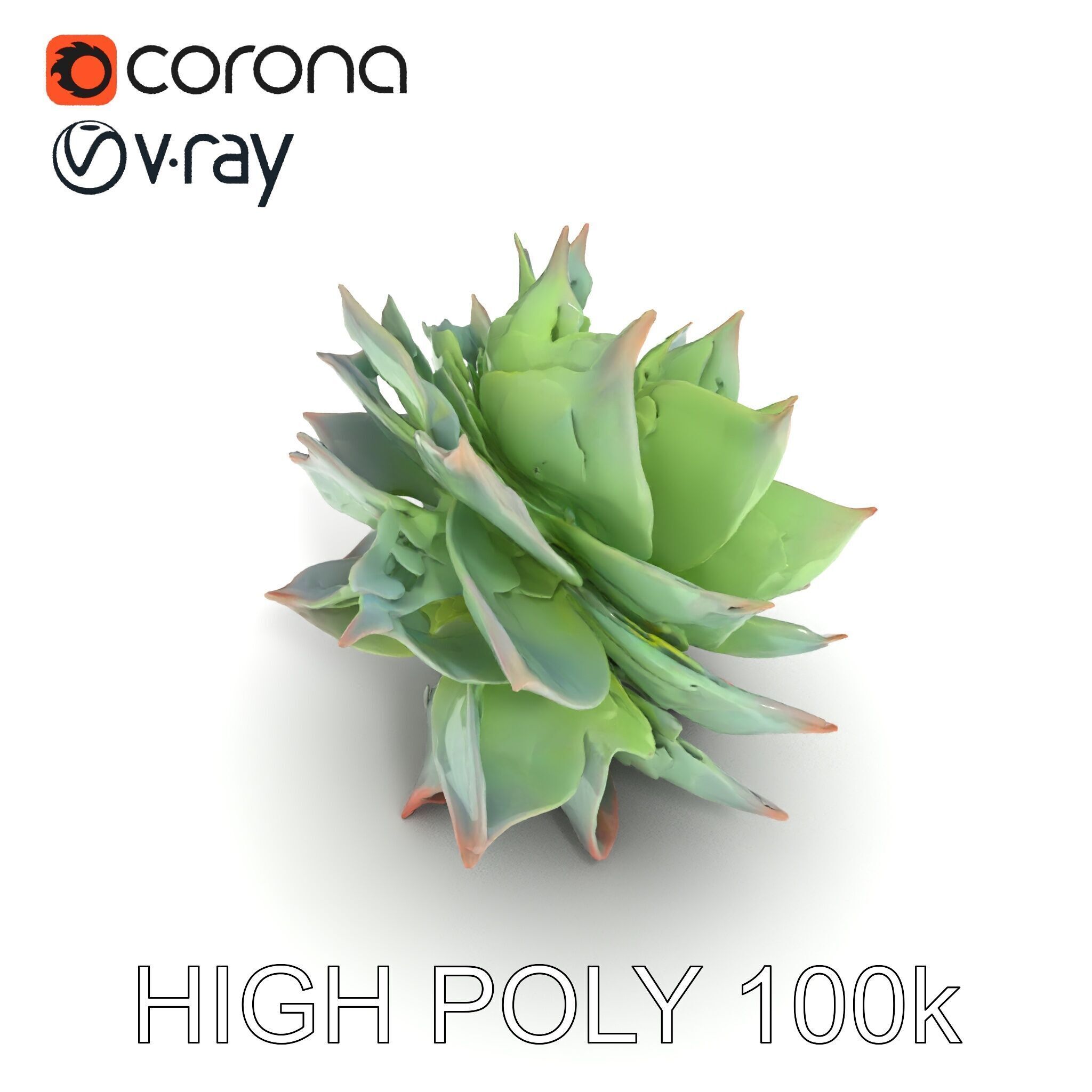 Succulent Plant Model Pack for D Rendering and Games Low-poly 3D model_23