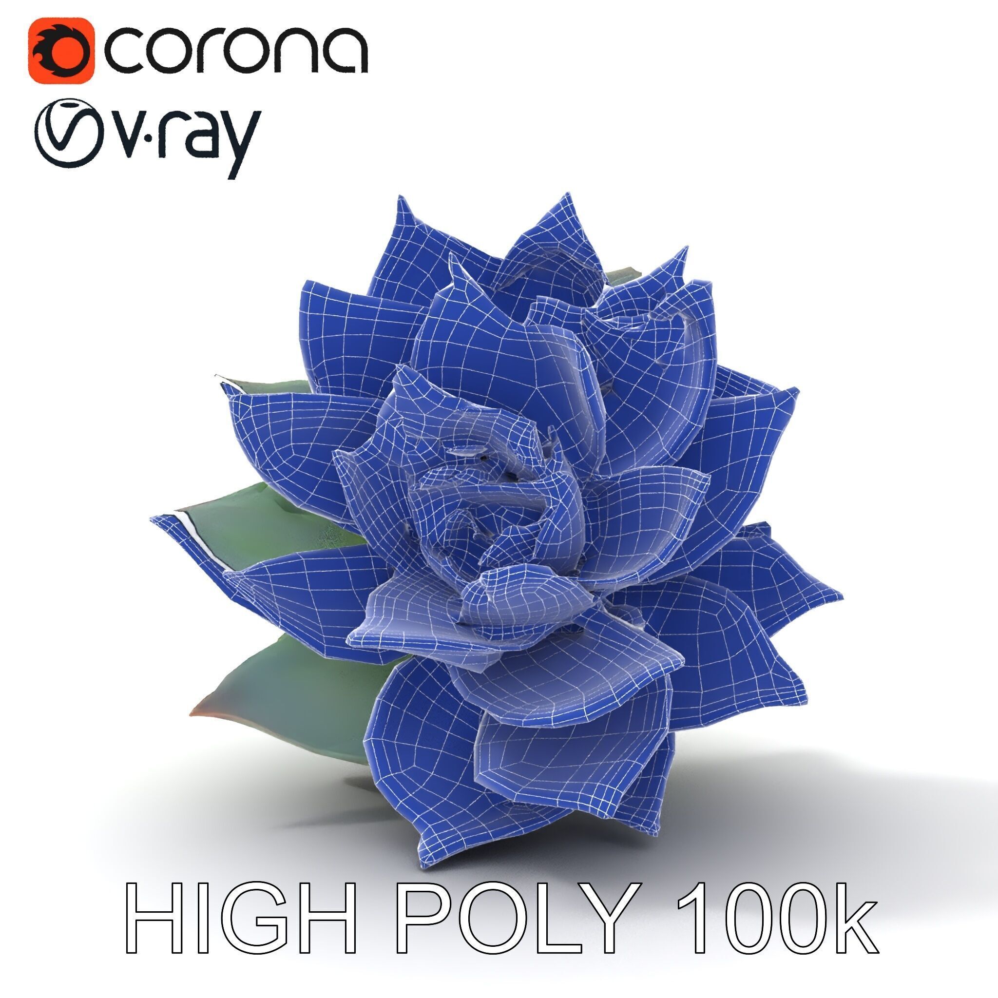 Succulent Plant Model Pack for D Rendering and Games Low-poly 3D model_9