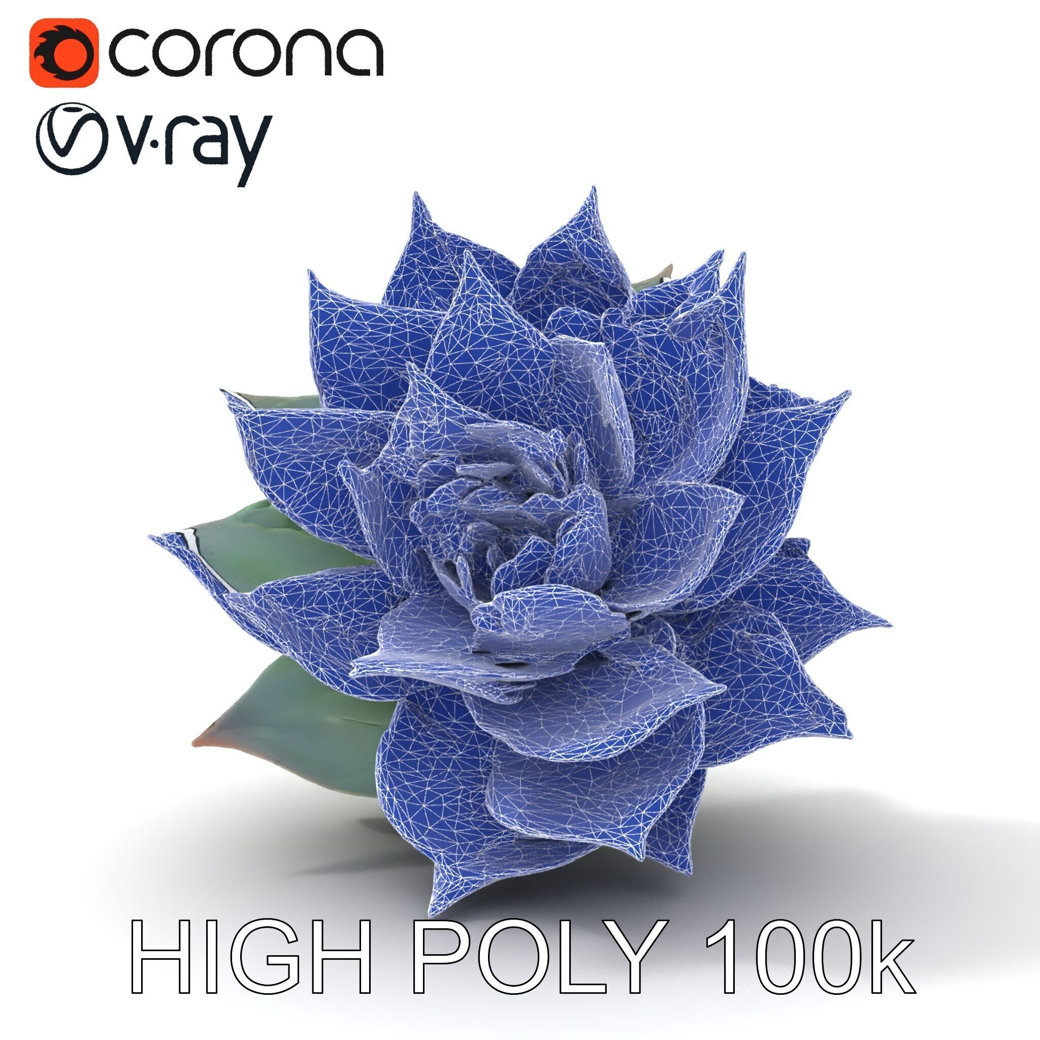 Succulent Plant Model Pack for D Rendering and Games Low-poly 3D model_15