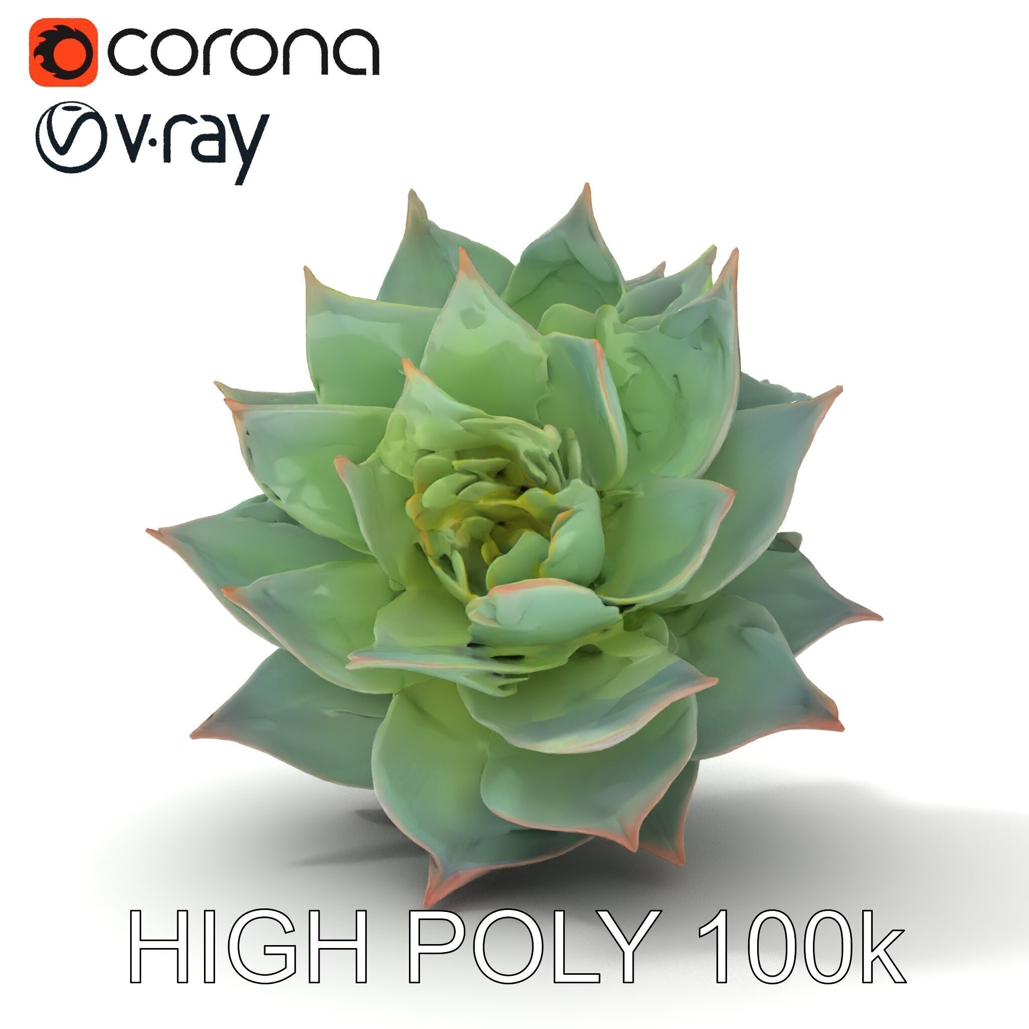 Succulent Plant Model Pack for D Rendering and Games Low-poly 3D model_10