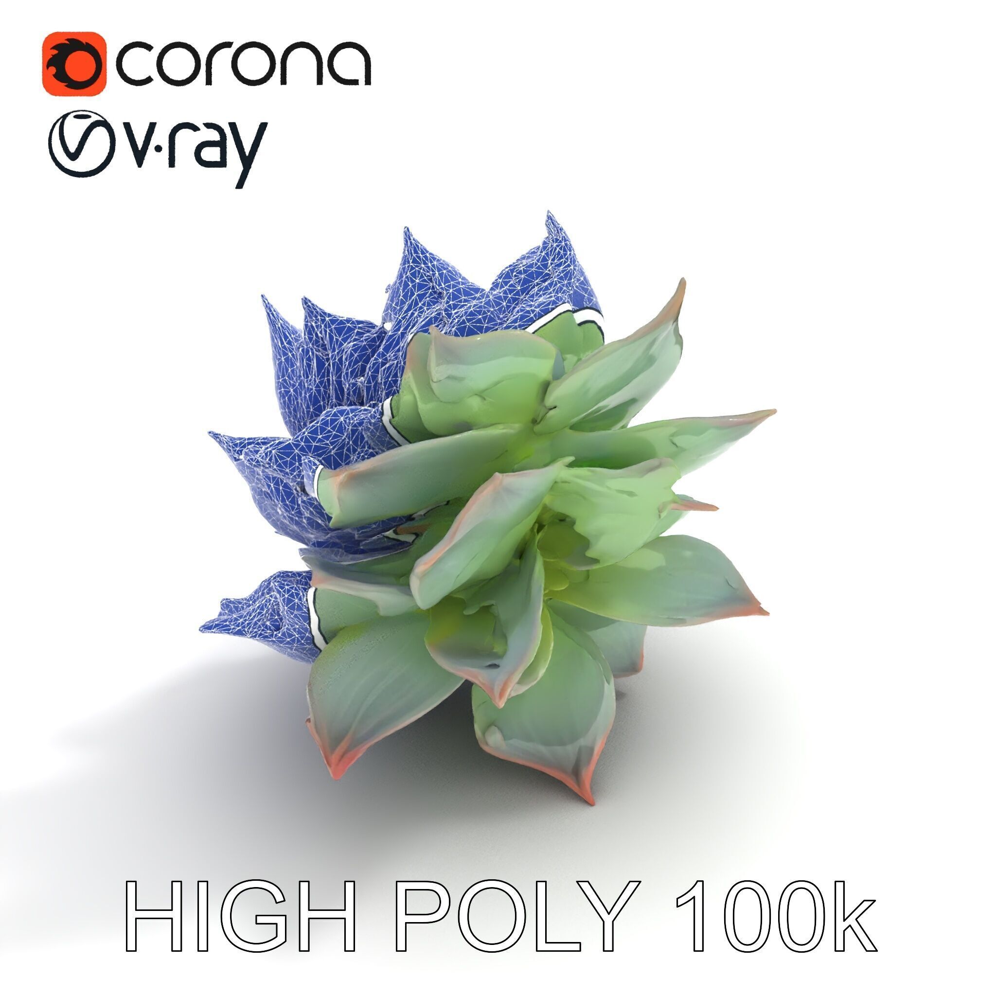 Succulent Plant Model Pack for D Rendering and Games Low-poly 3D model_18
