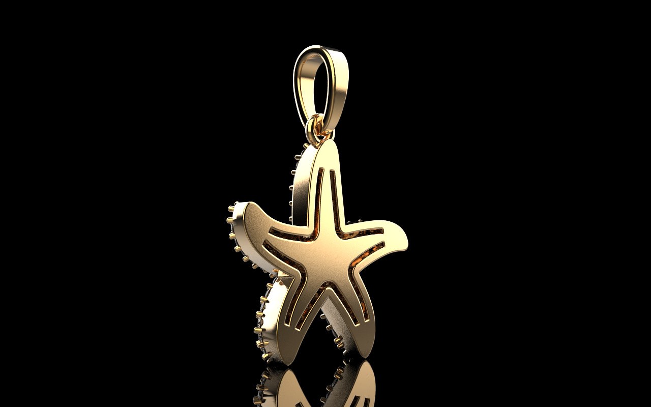 Starfish pendant model 1242 3D print model_26