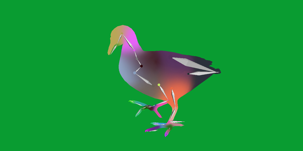 Moorhen Water Bird Low-poly 3D model_34
