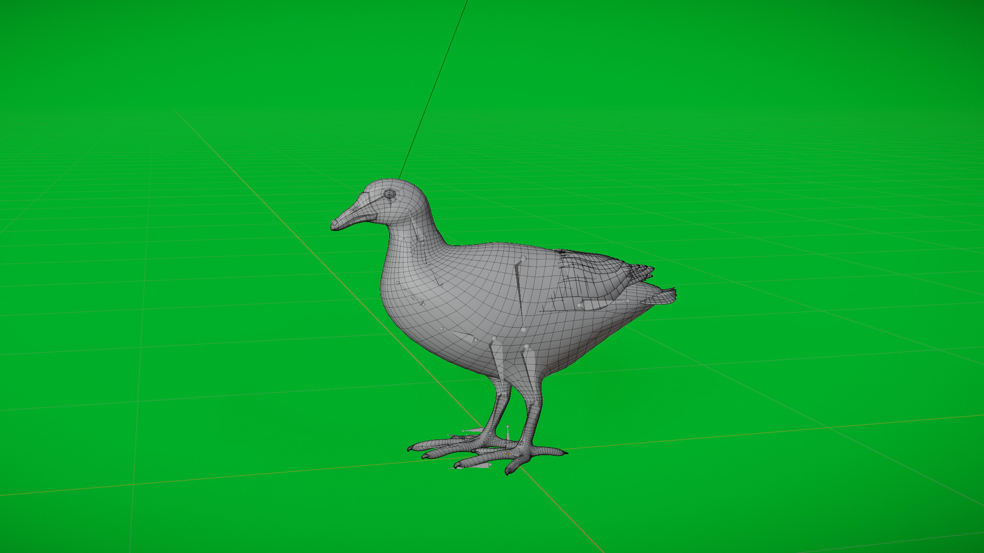 Moorhen Water Bird Low-poly 3D model_9