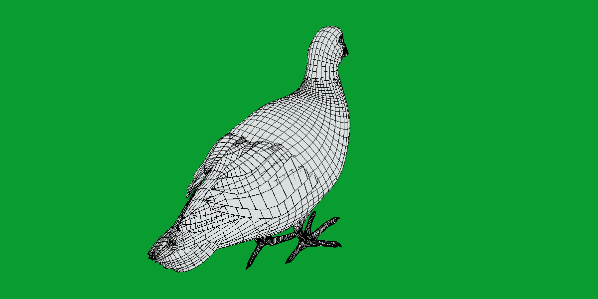 Moorhen Water Bird Low-poly 3D model_20