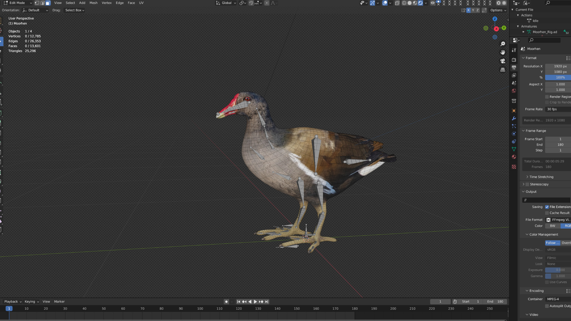 Moorhen Water Bird Low-poly 3D model_4