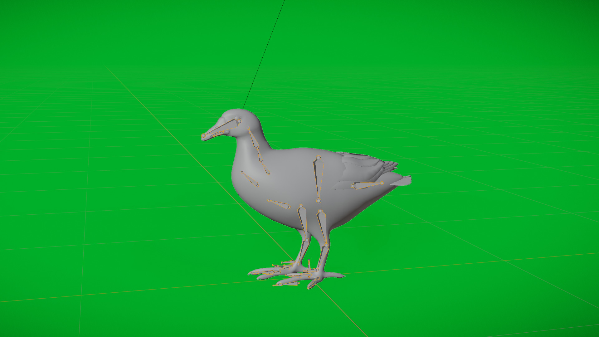Moorhen Water Bird Low-poly 3D model_8