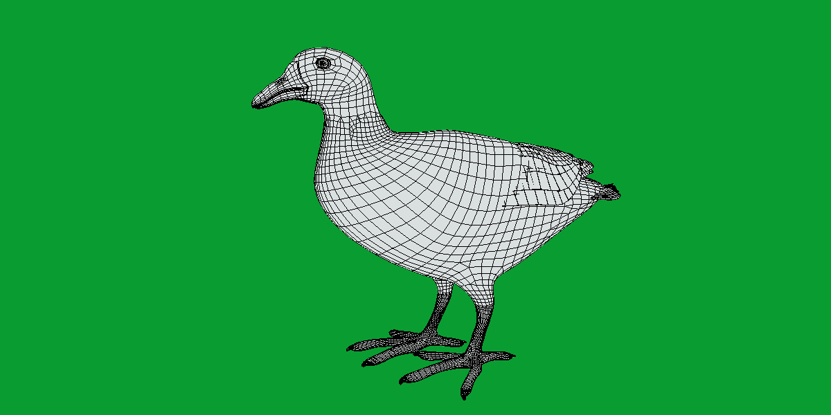 Moorhen Water Bird Low-poly 3D model_23