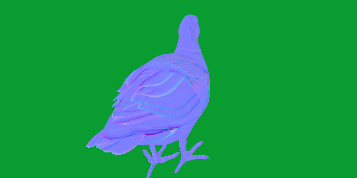 Moorhen Water Bird Low-poly 3D model_13