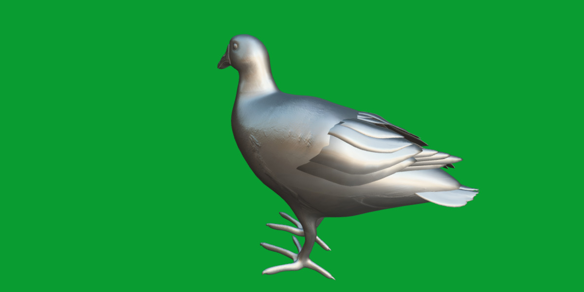 Moorhen Water Bird Low-poly 3D model_18