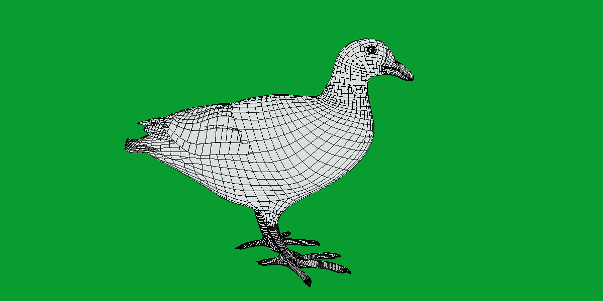 Moorhen Water Bird Low-poly 3D model_22