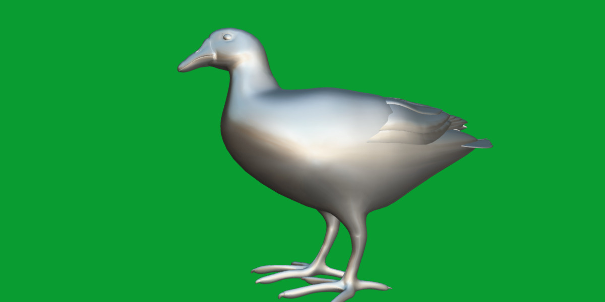 Moorhen Water Bird Low-poly 3D model_17