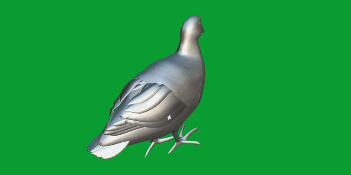 Moorhen Water Bird Low-poly 3D model_19