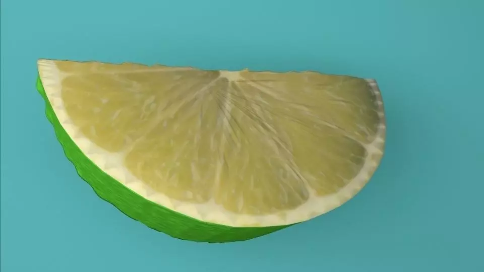 lemon slice of lime Free 3D model_0