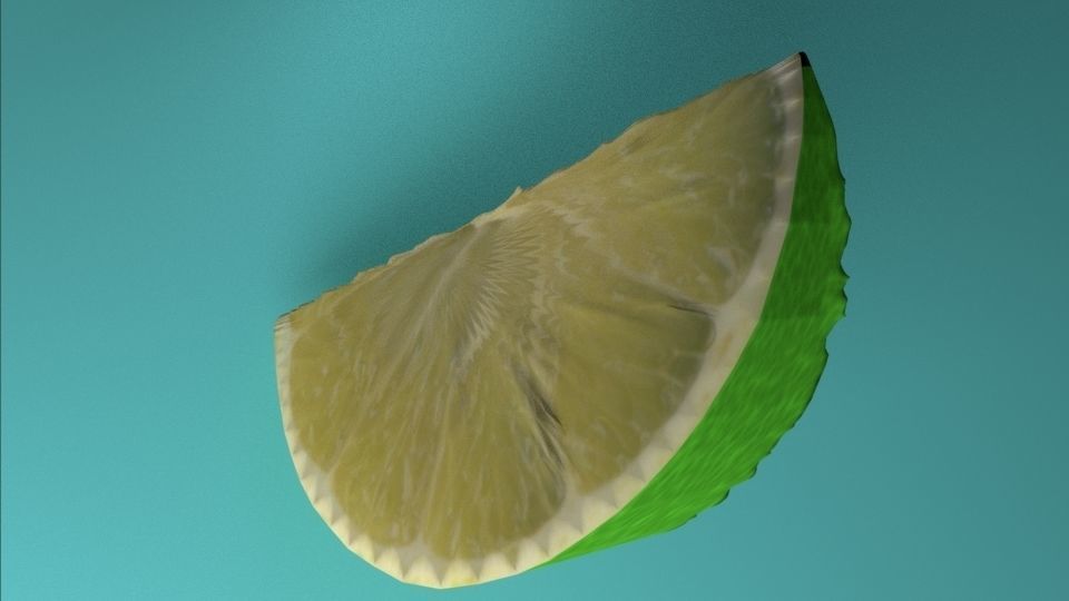 lemon slice of lime Free 3D model_2