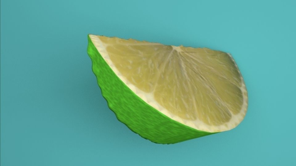 lemon slice of lime Free 3D model_1
